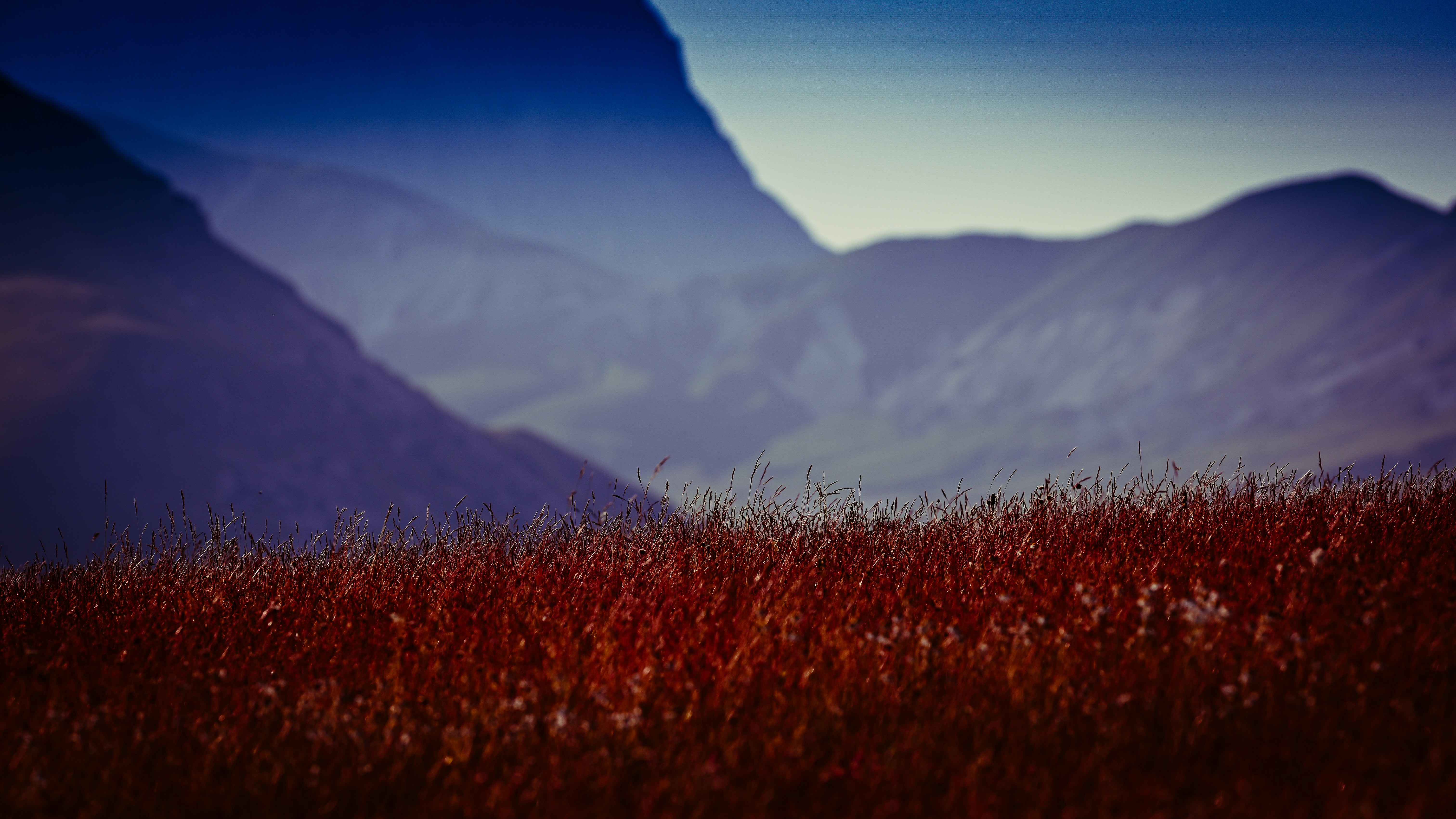 Photo by lucaakalu