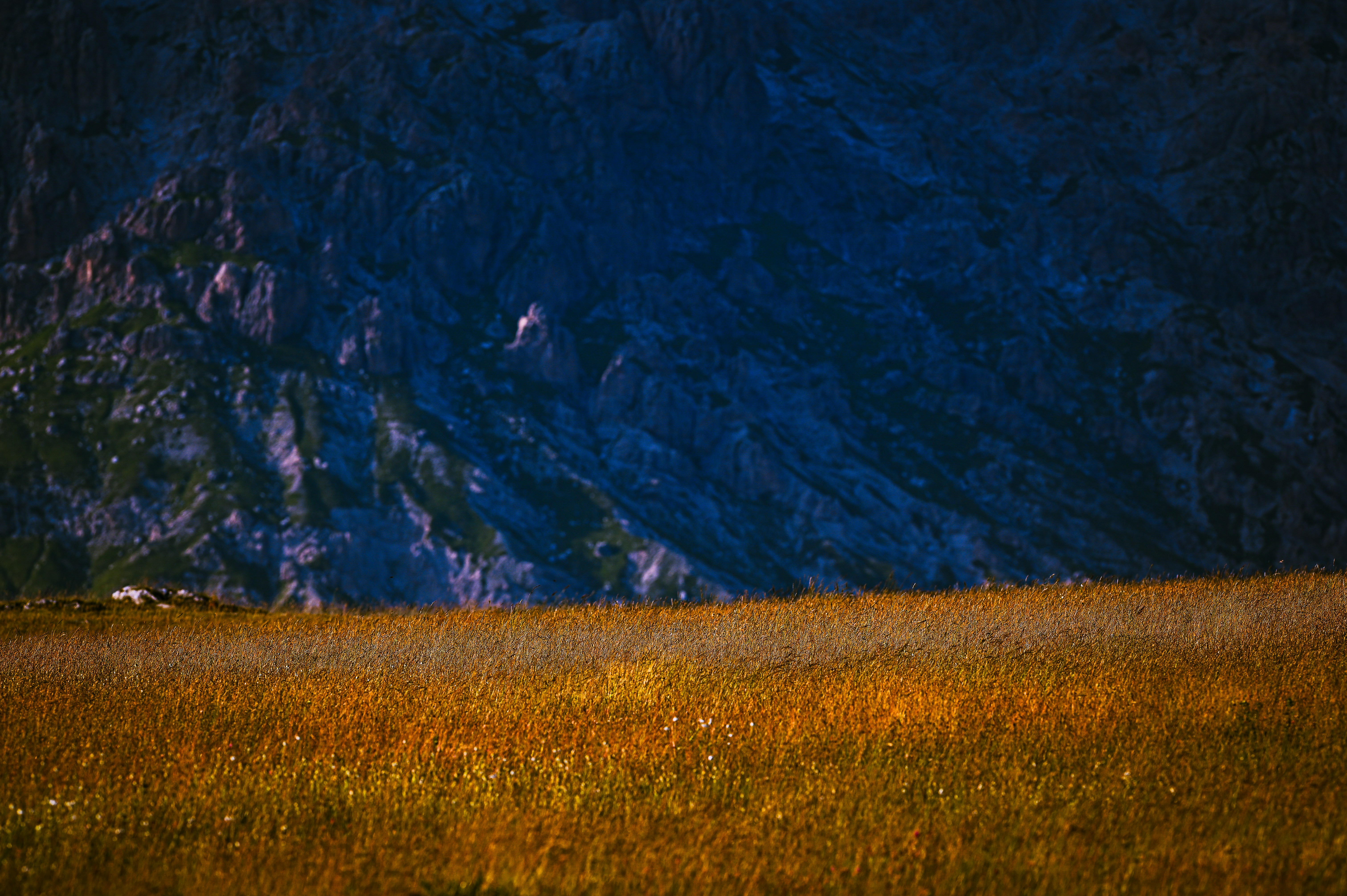 Photo by lucaakalu