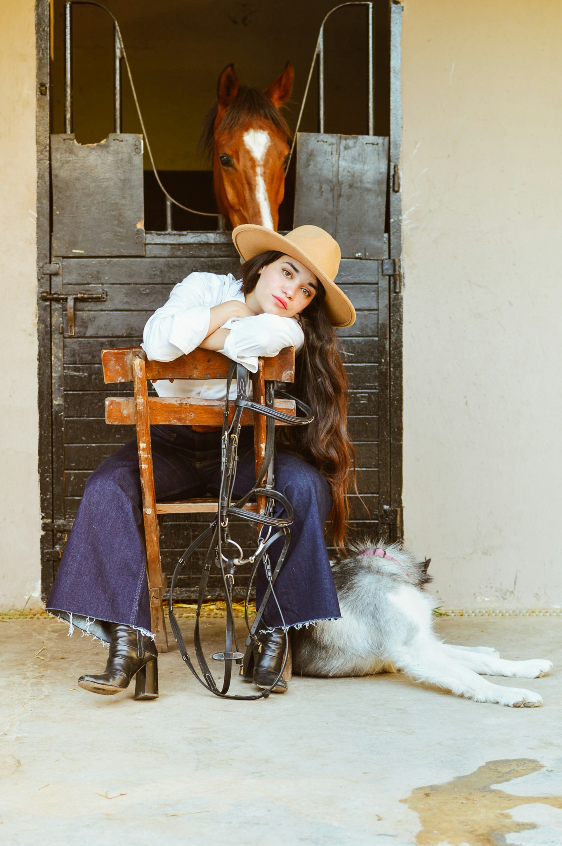 Poses da mulher por um cavalo com cão