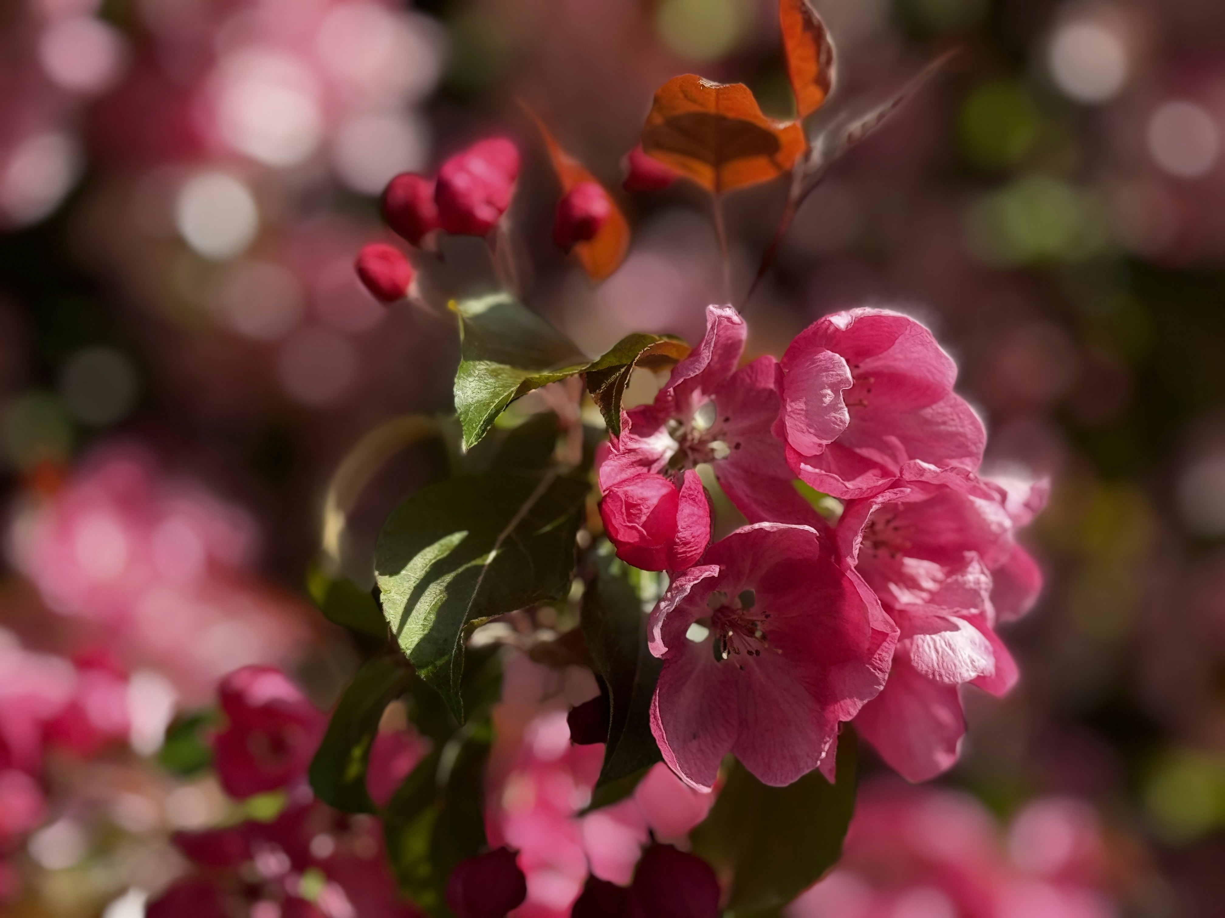 Photo by maryamsarafrazi