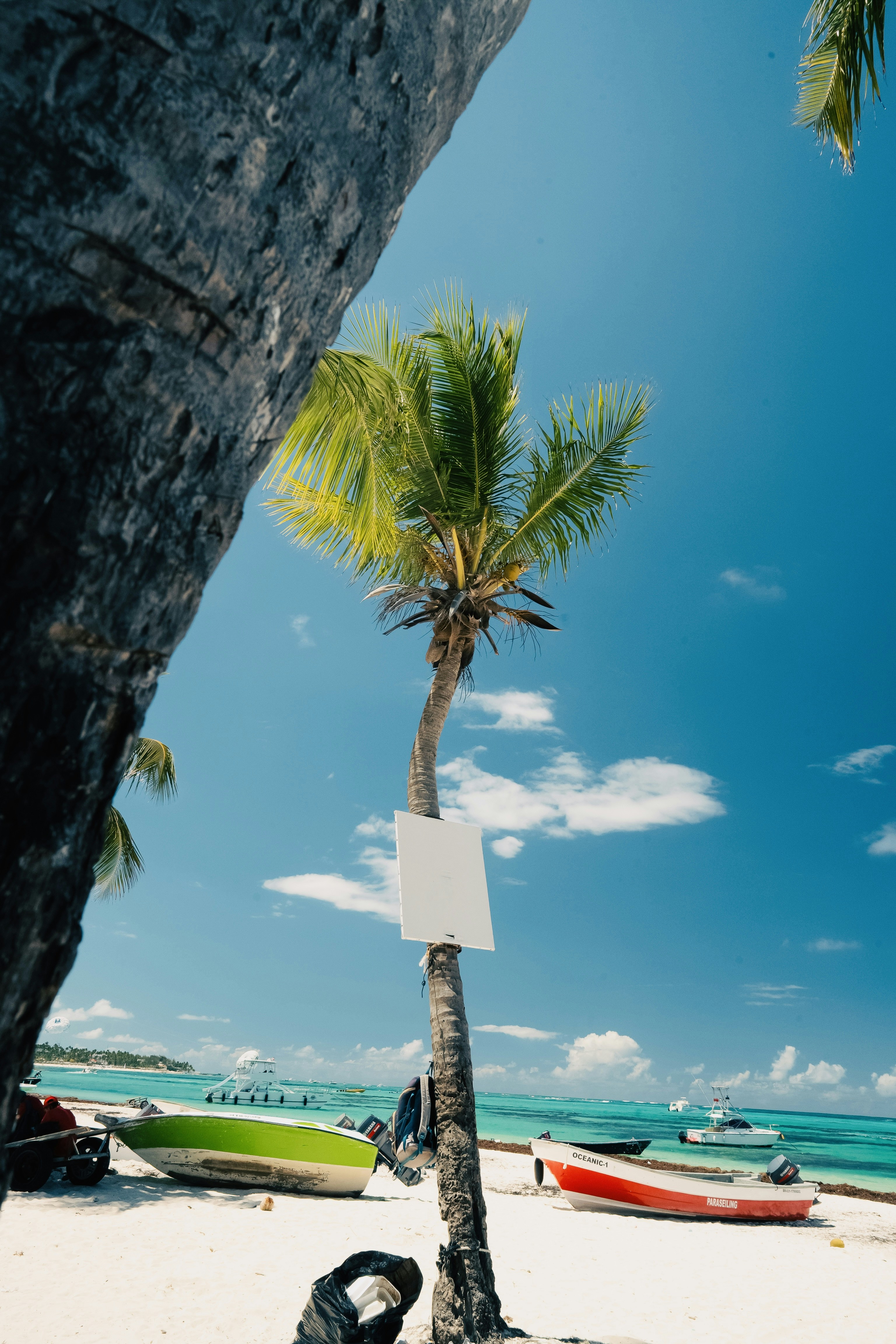 A beach with palm trees and boats on a sunny day.