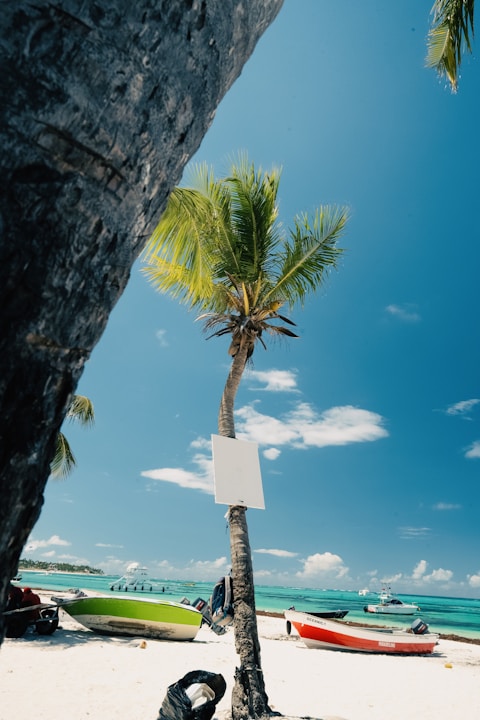 A beach with palm trees and boats on a sunny day.