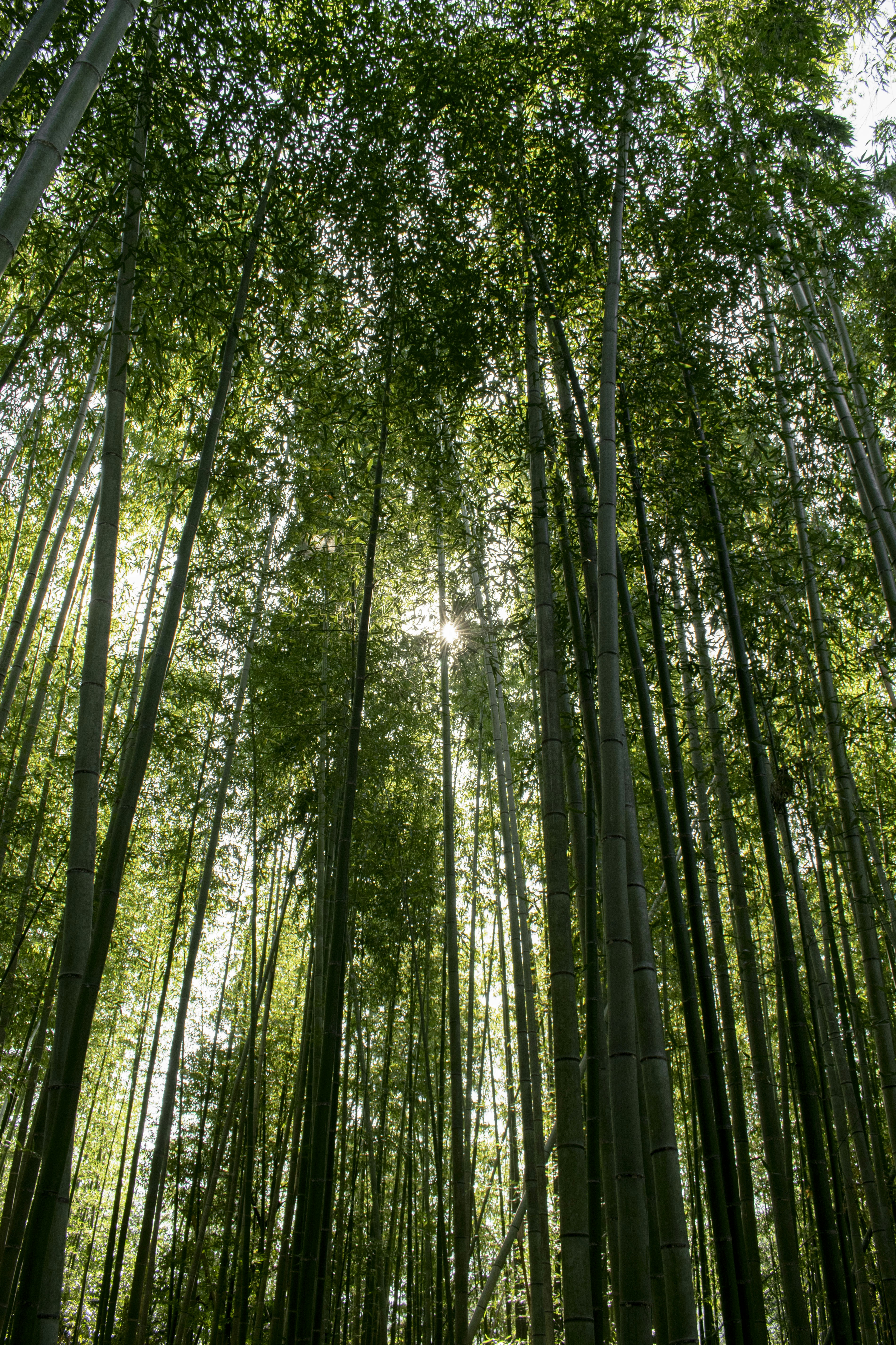 Photo by thisisnotasimulation