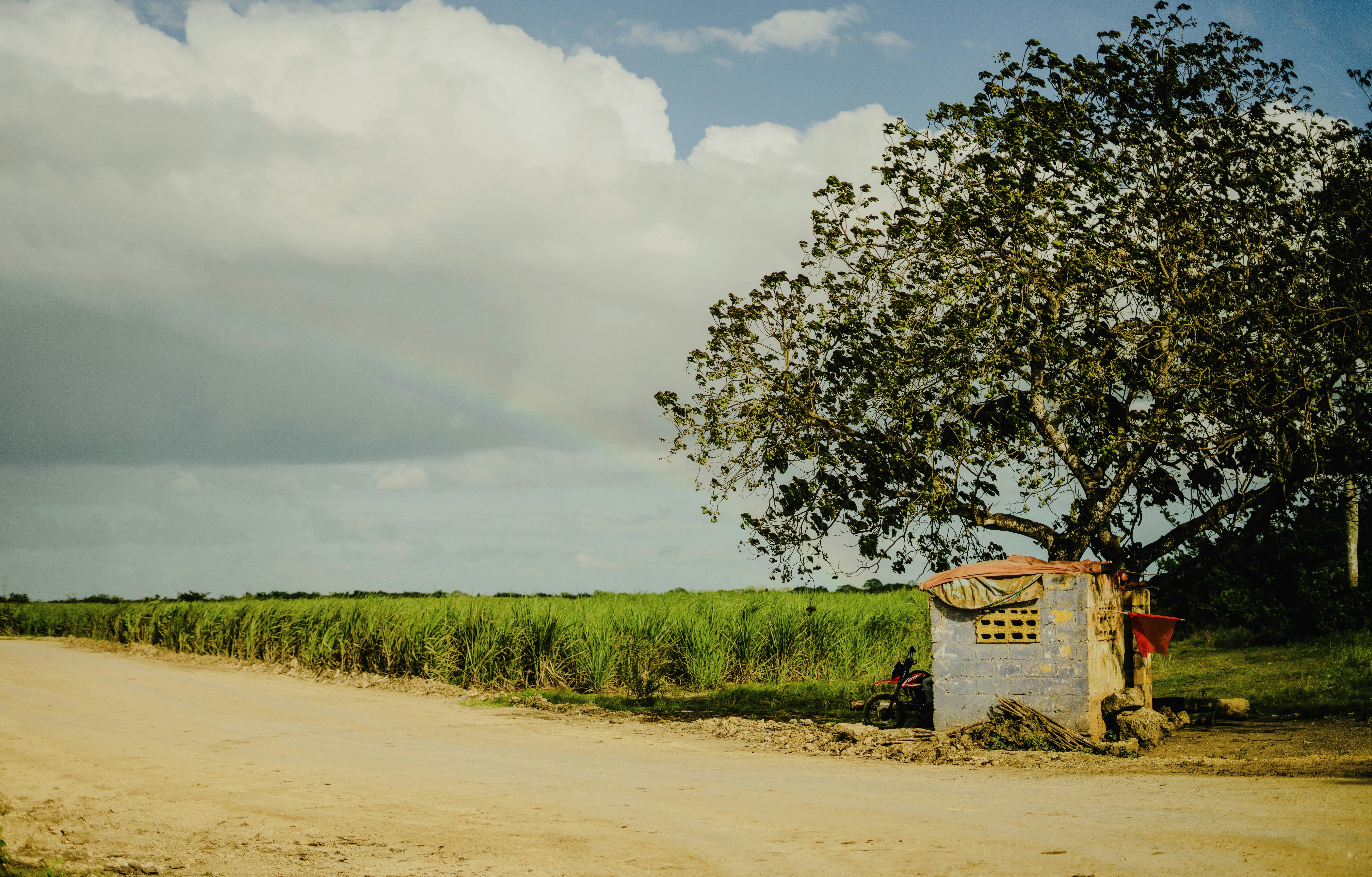A country road leads to a lush green field.