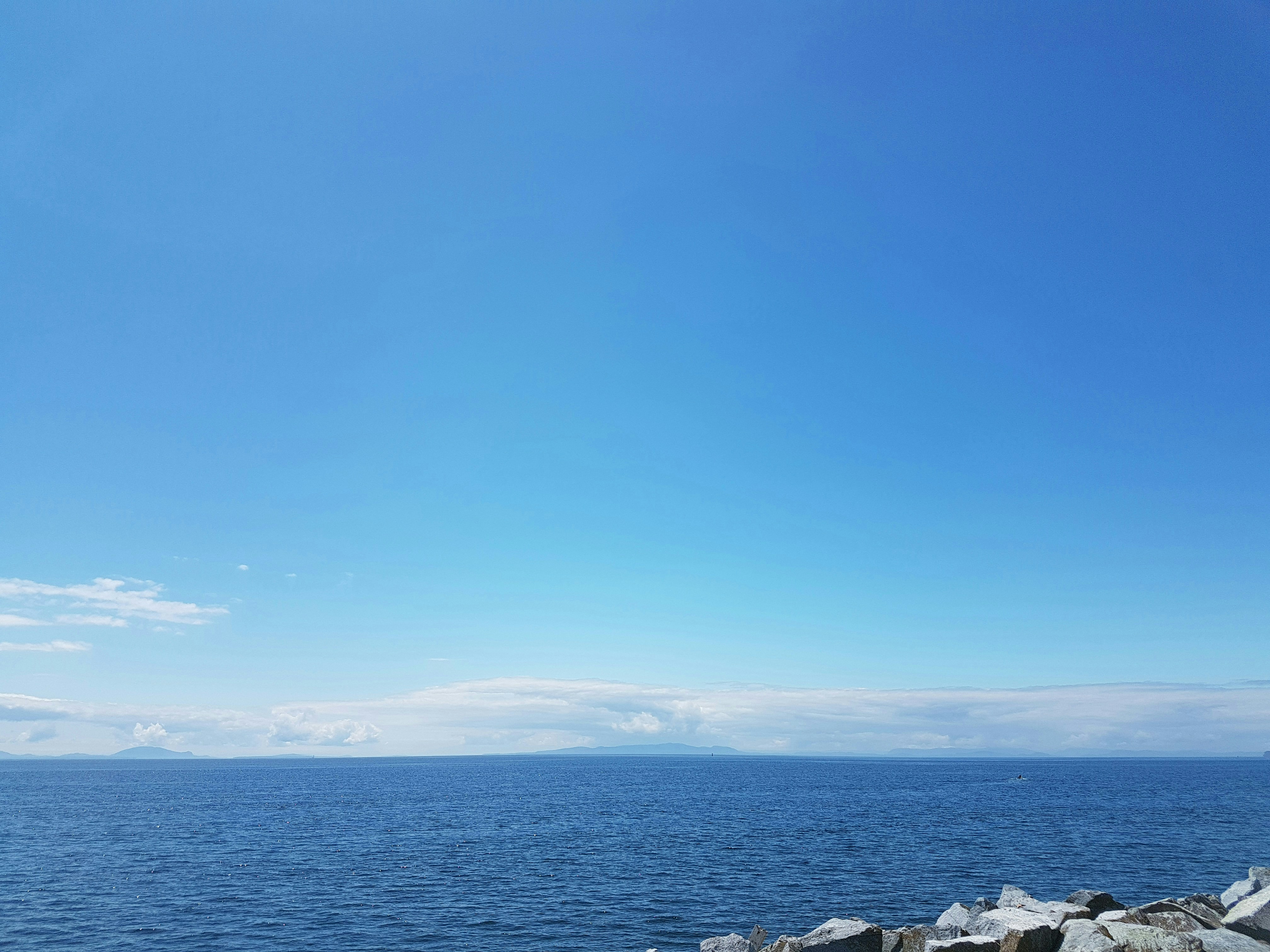 Photo by ddbtraffic2020