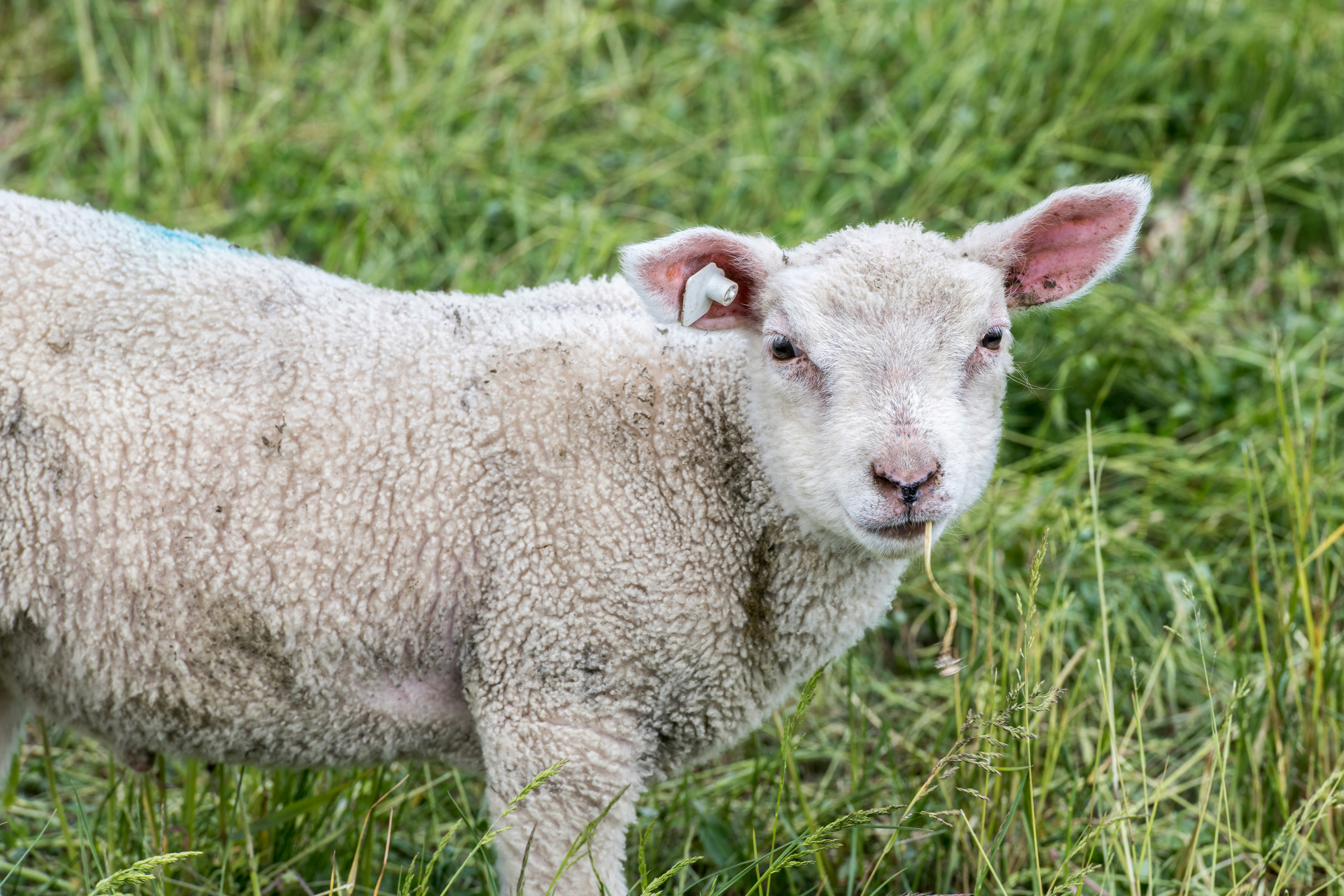 Photo by hamburgmeinefreundin