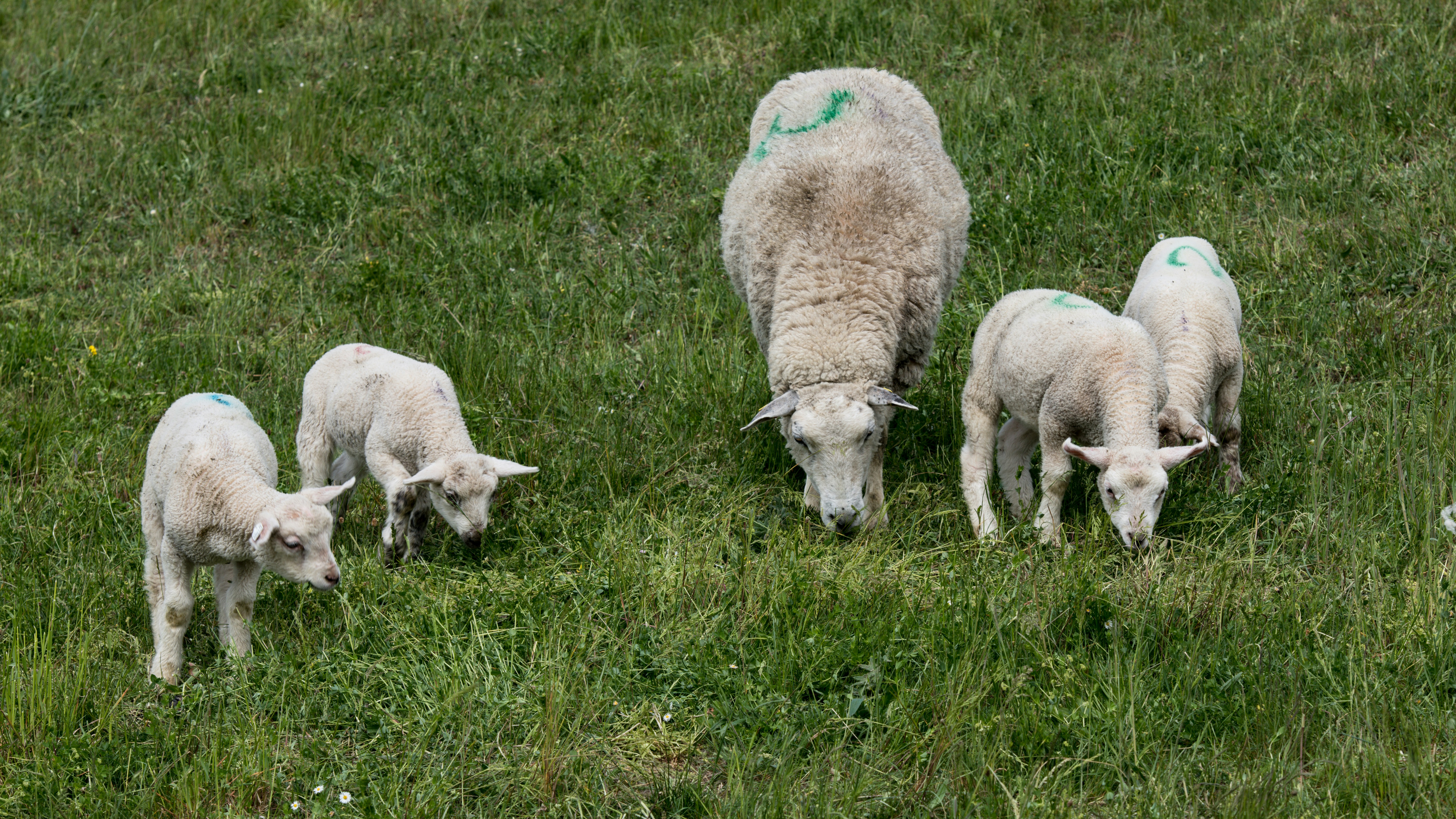 Photo by hamburgmeinefreundin