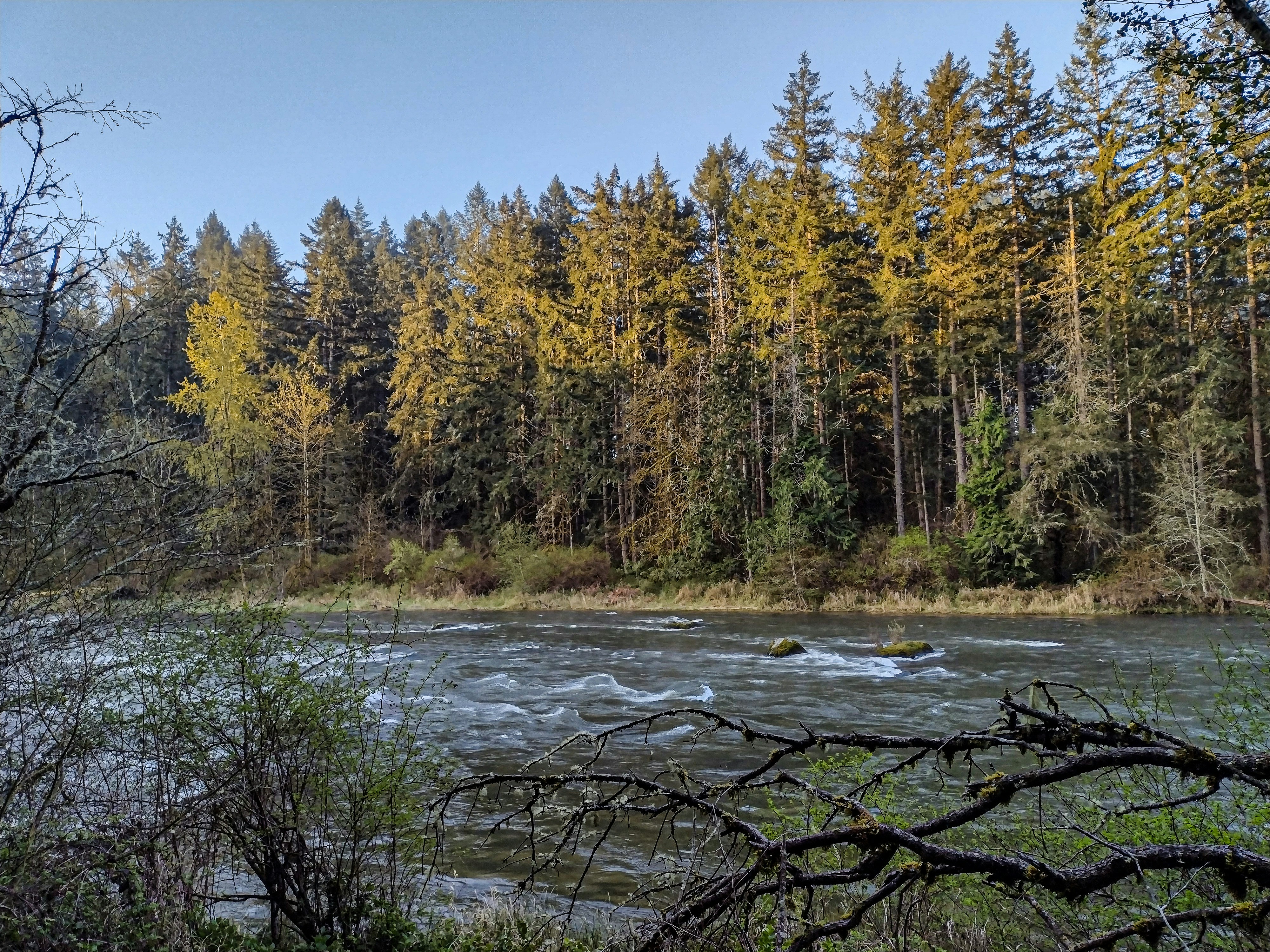 Photo by prphotography262