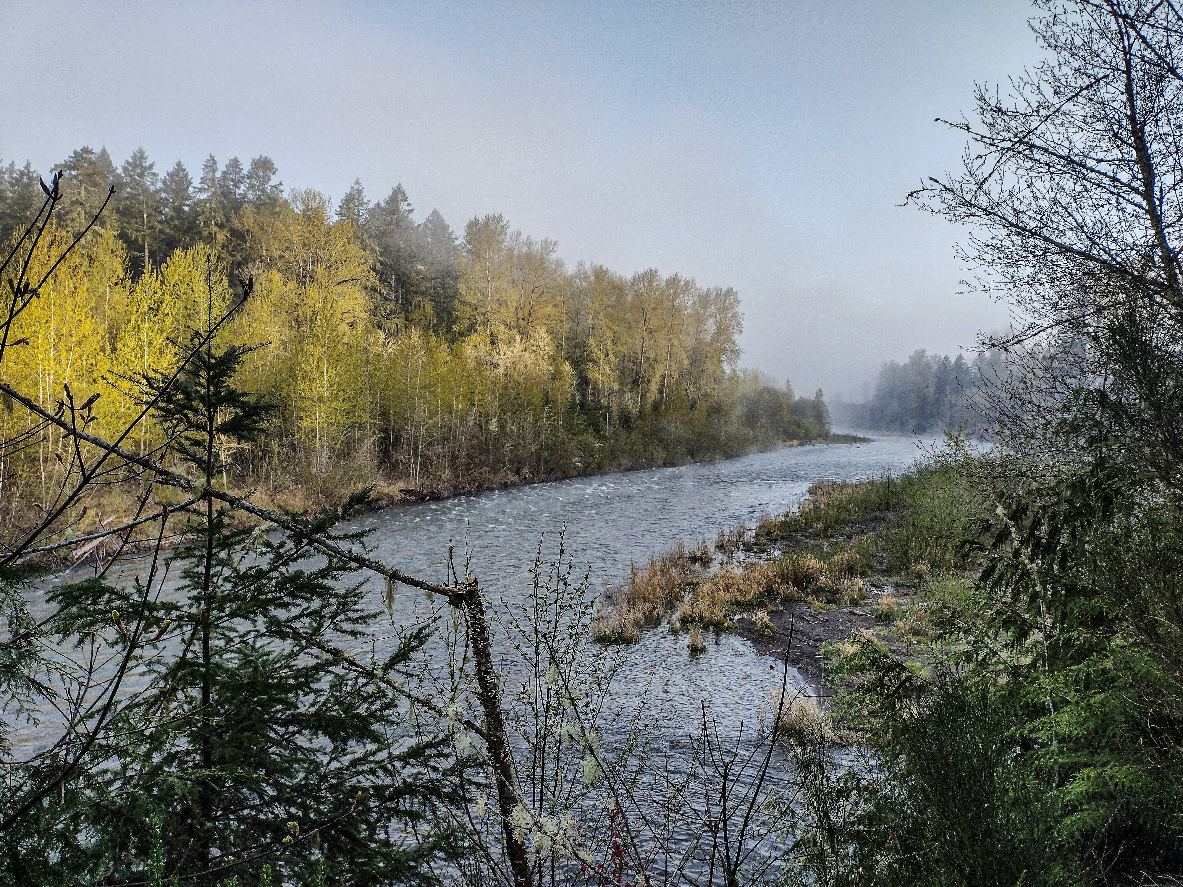 Photo by prphotography262