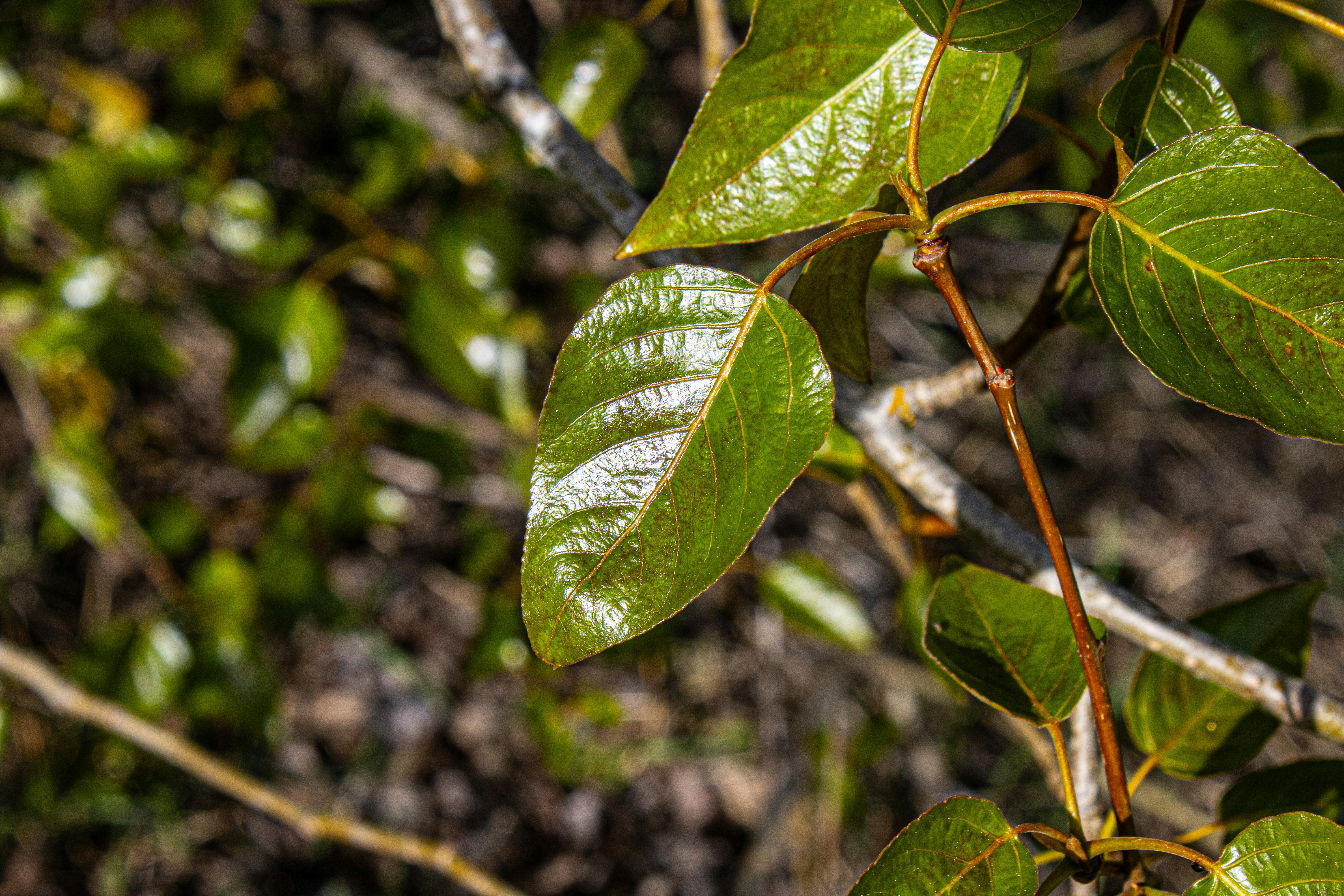 Photo by prphotography262