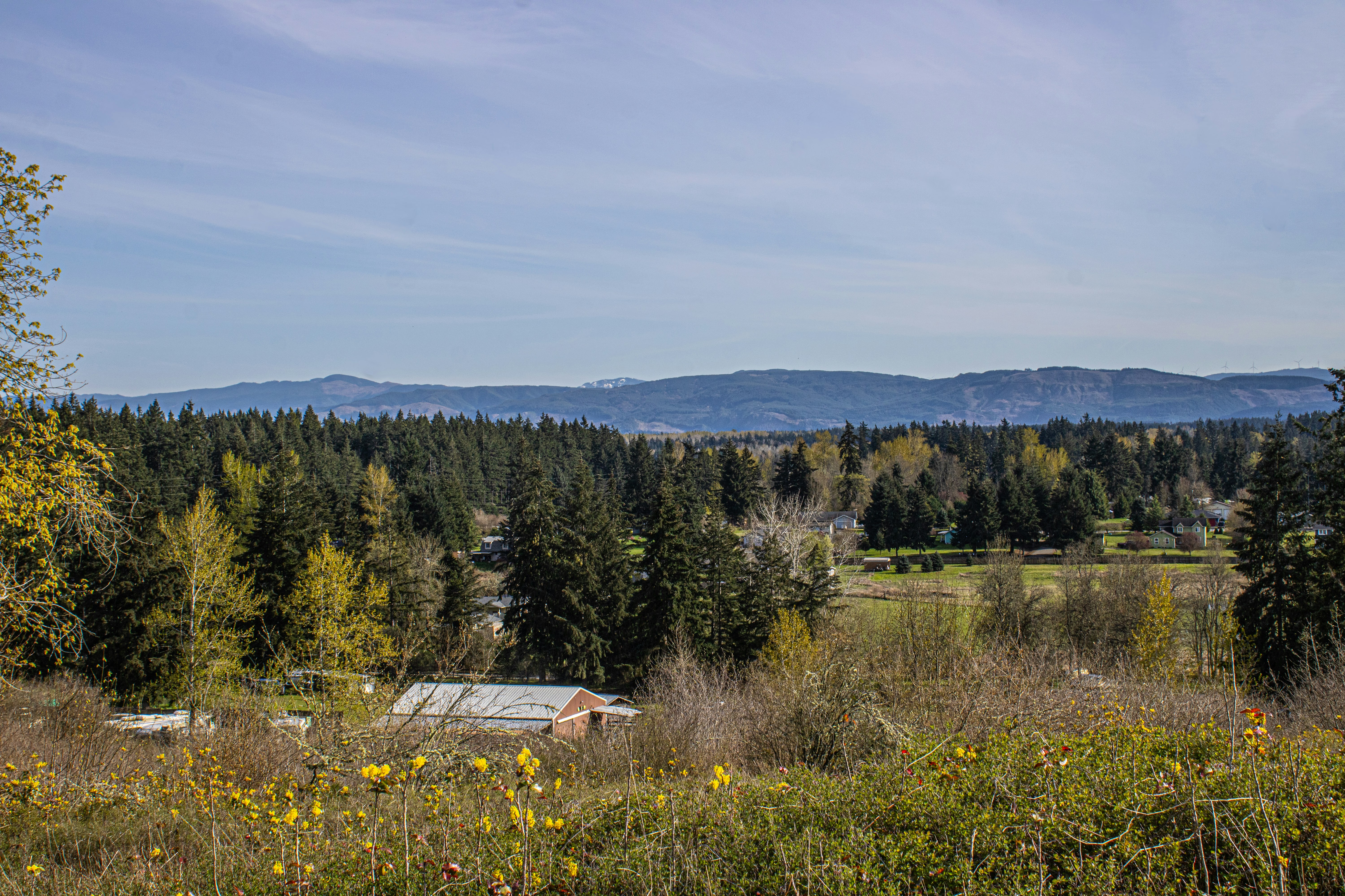 Photo by prphotography262