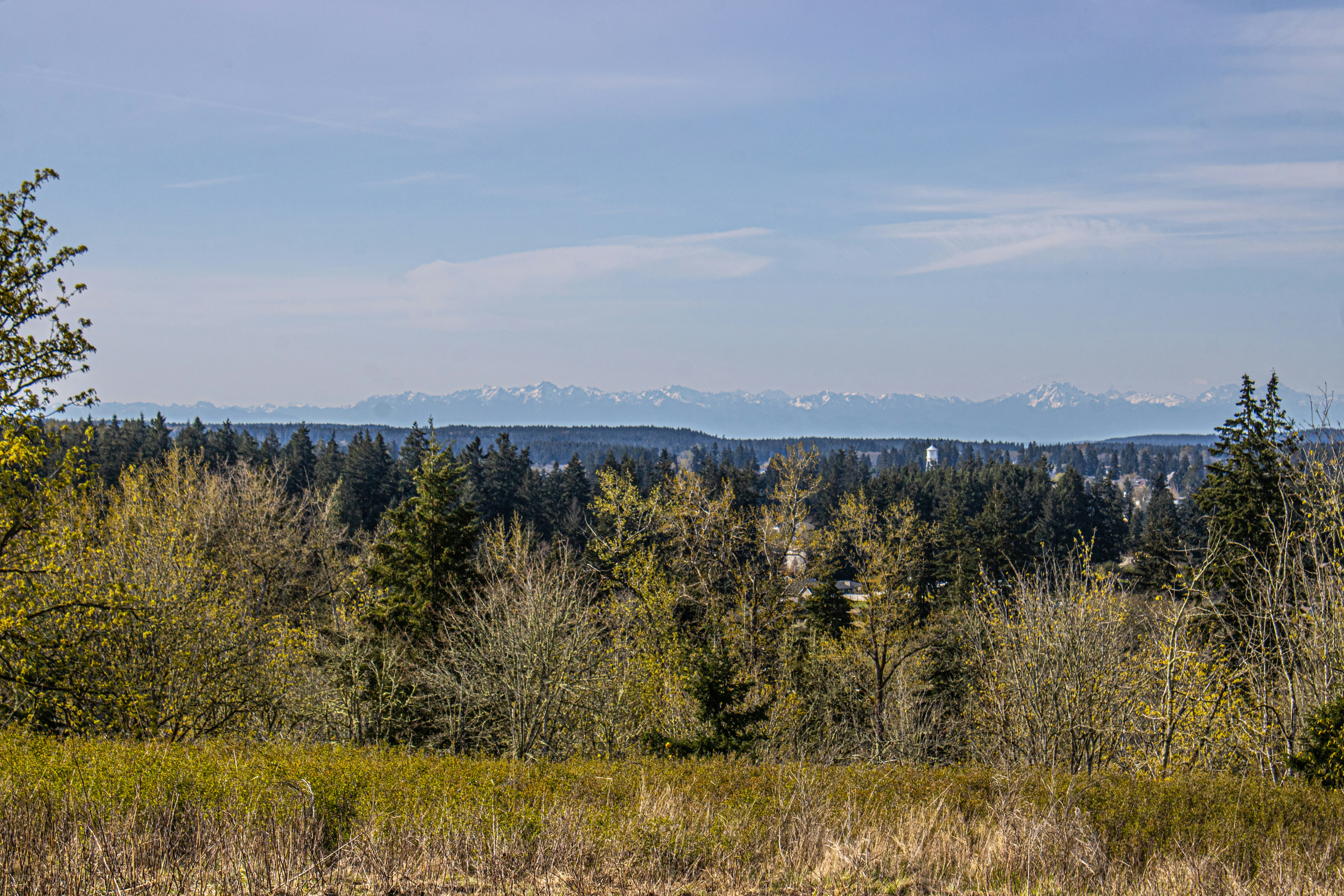 Photo by prphotography262