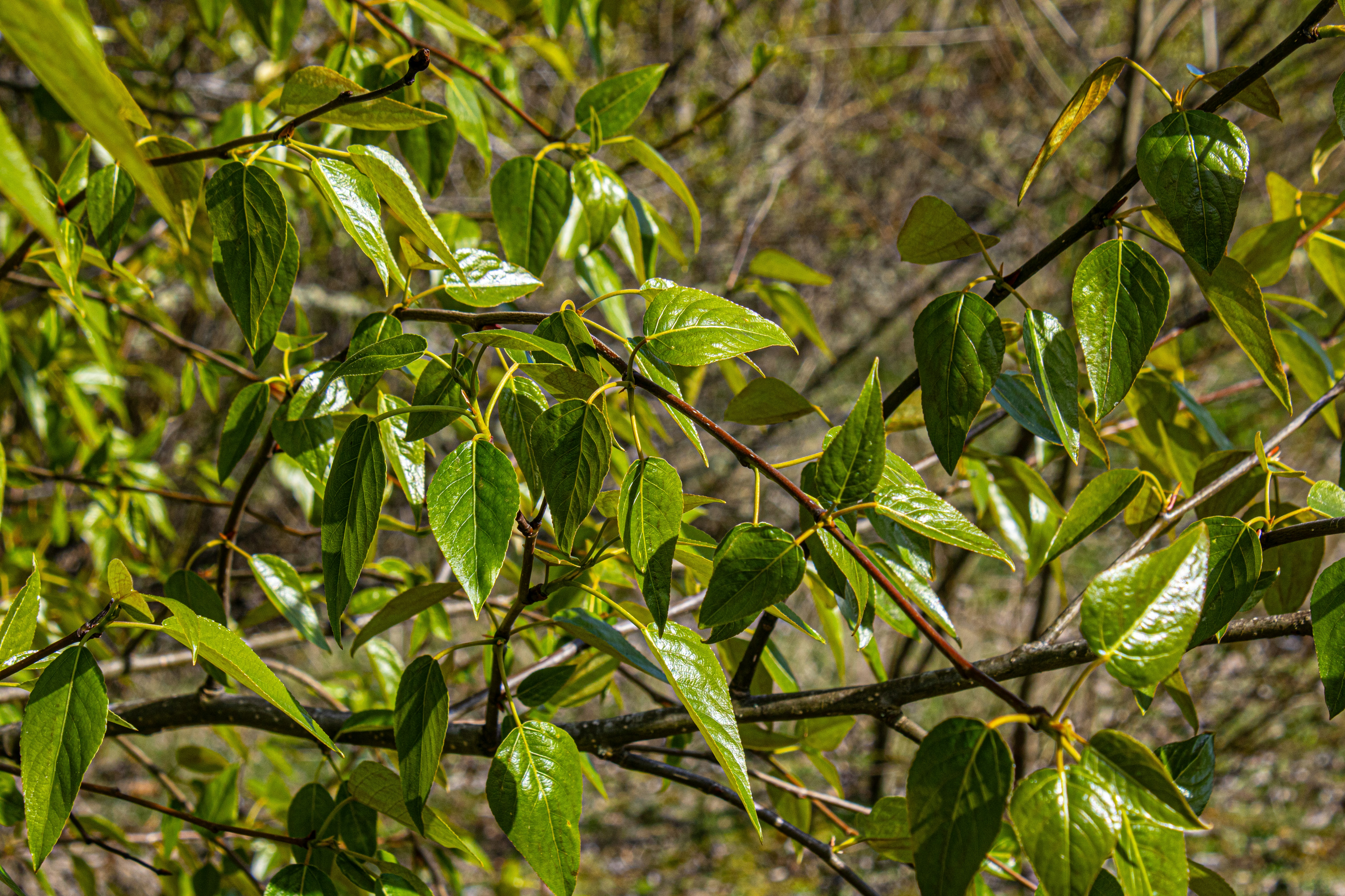 Photo by prphotography262