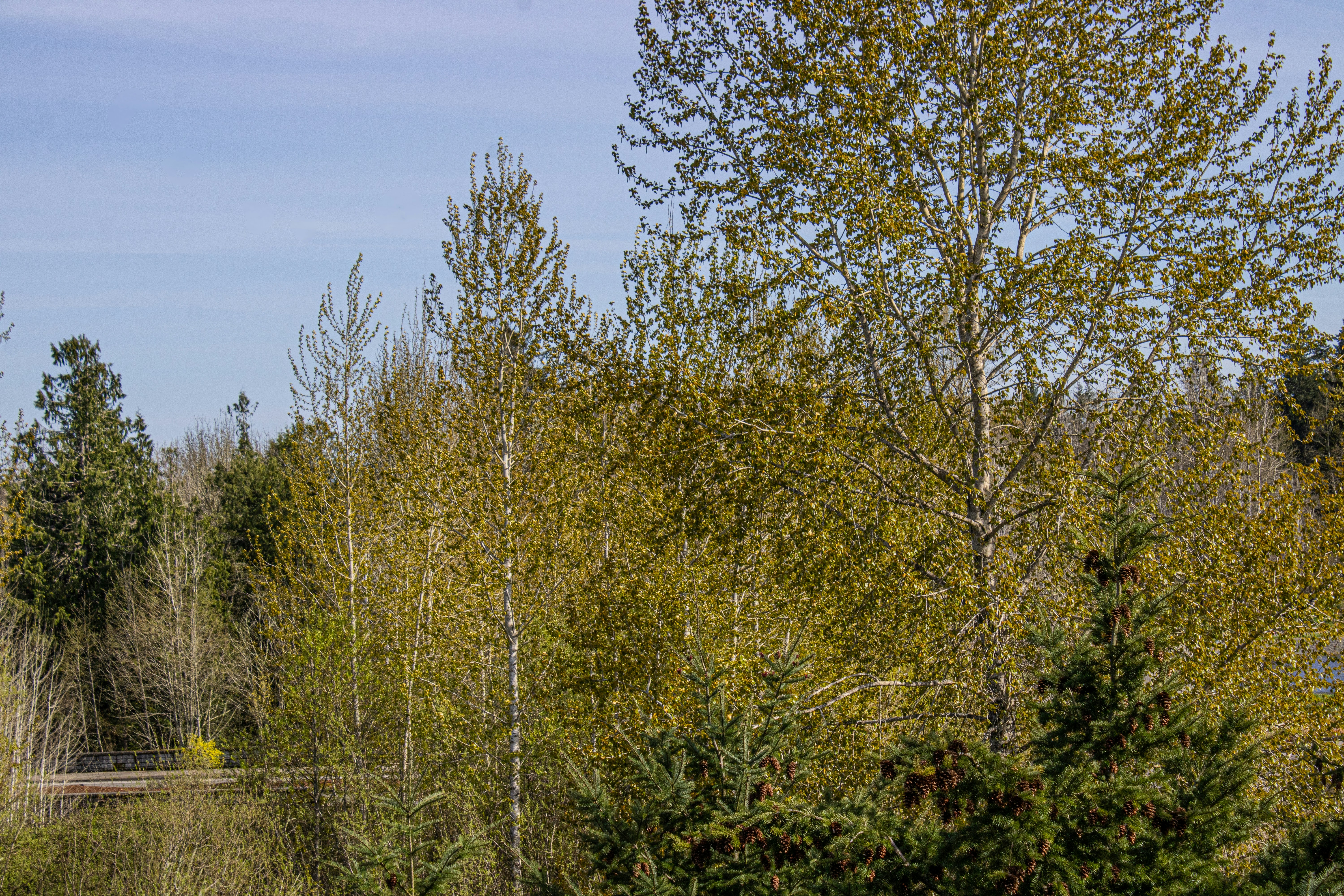 Photo by prphotography262