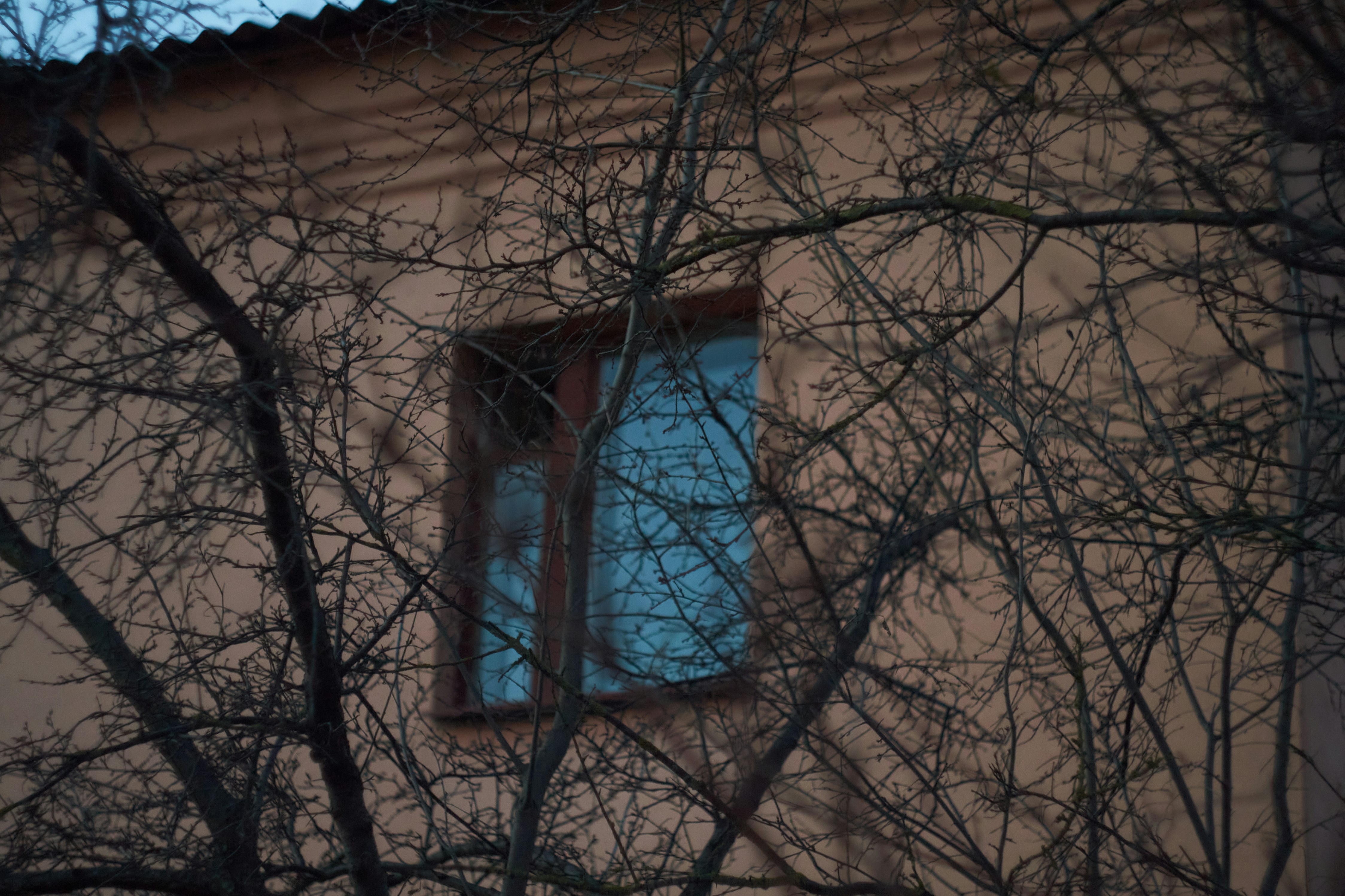 Photo by hannaxsulphur