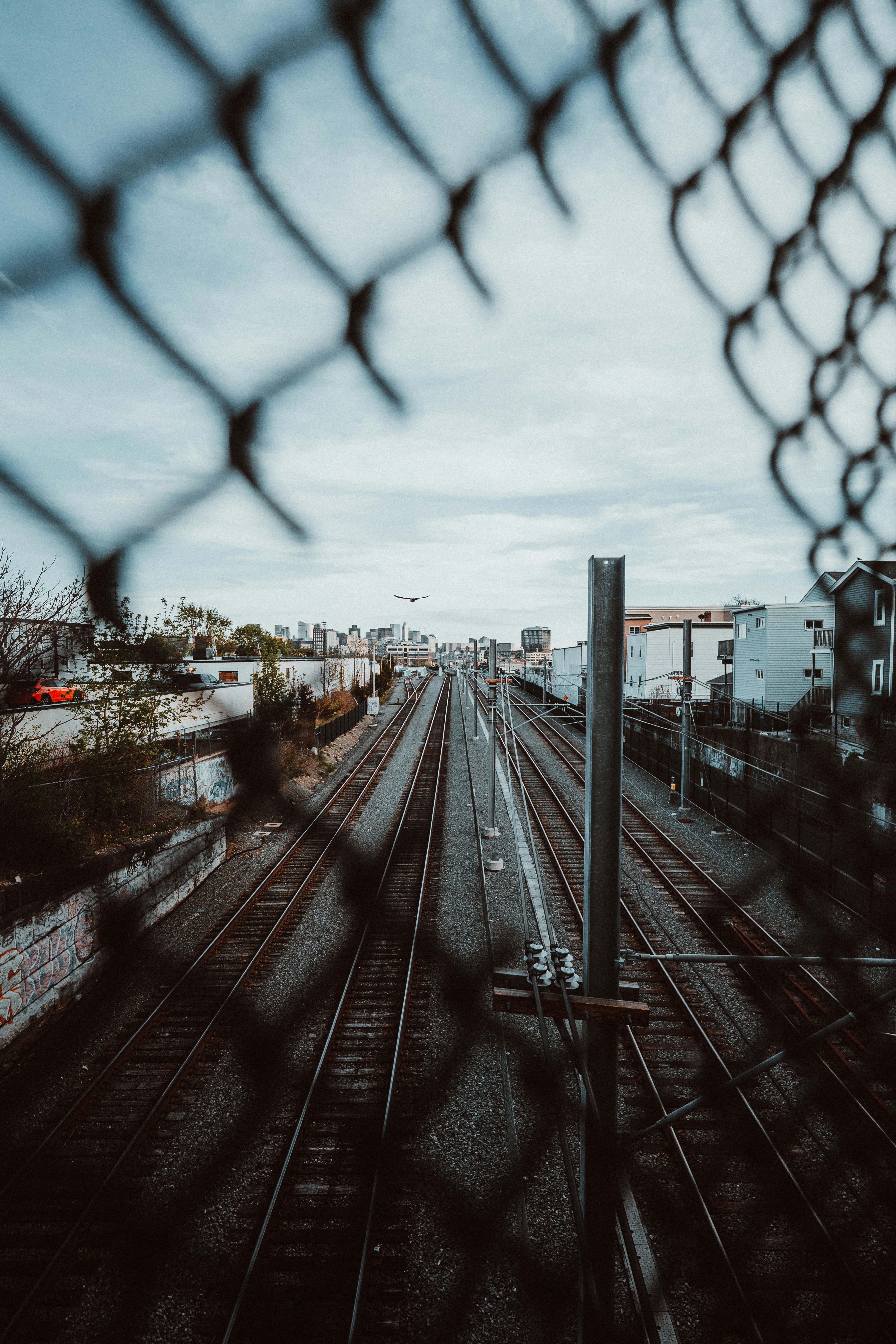 Photo by bradfickeisen