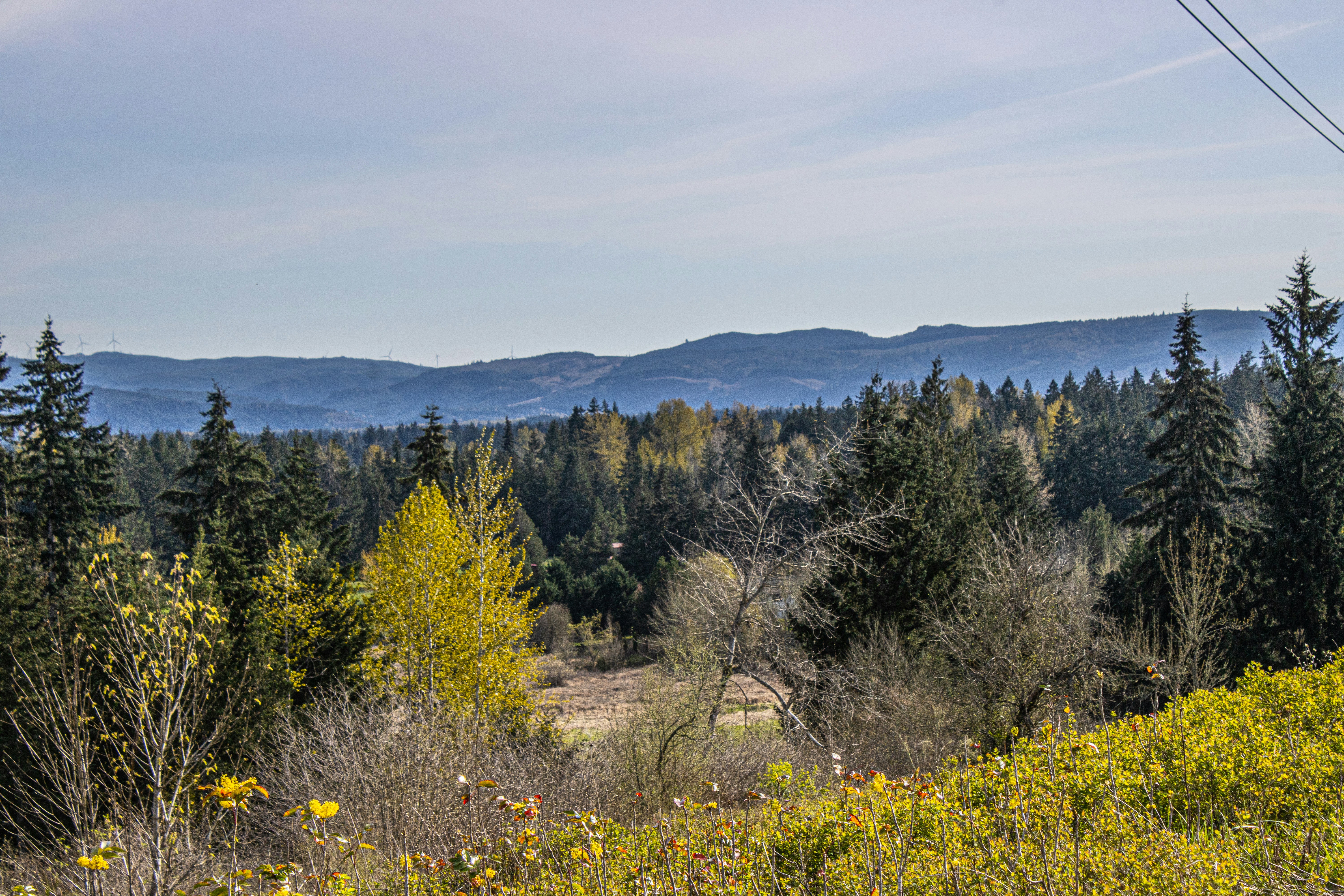 Photo by prphotography262