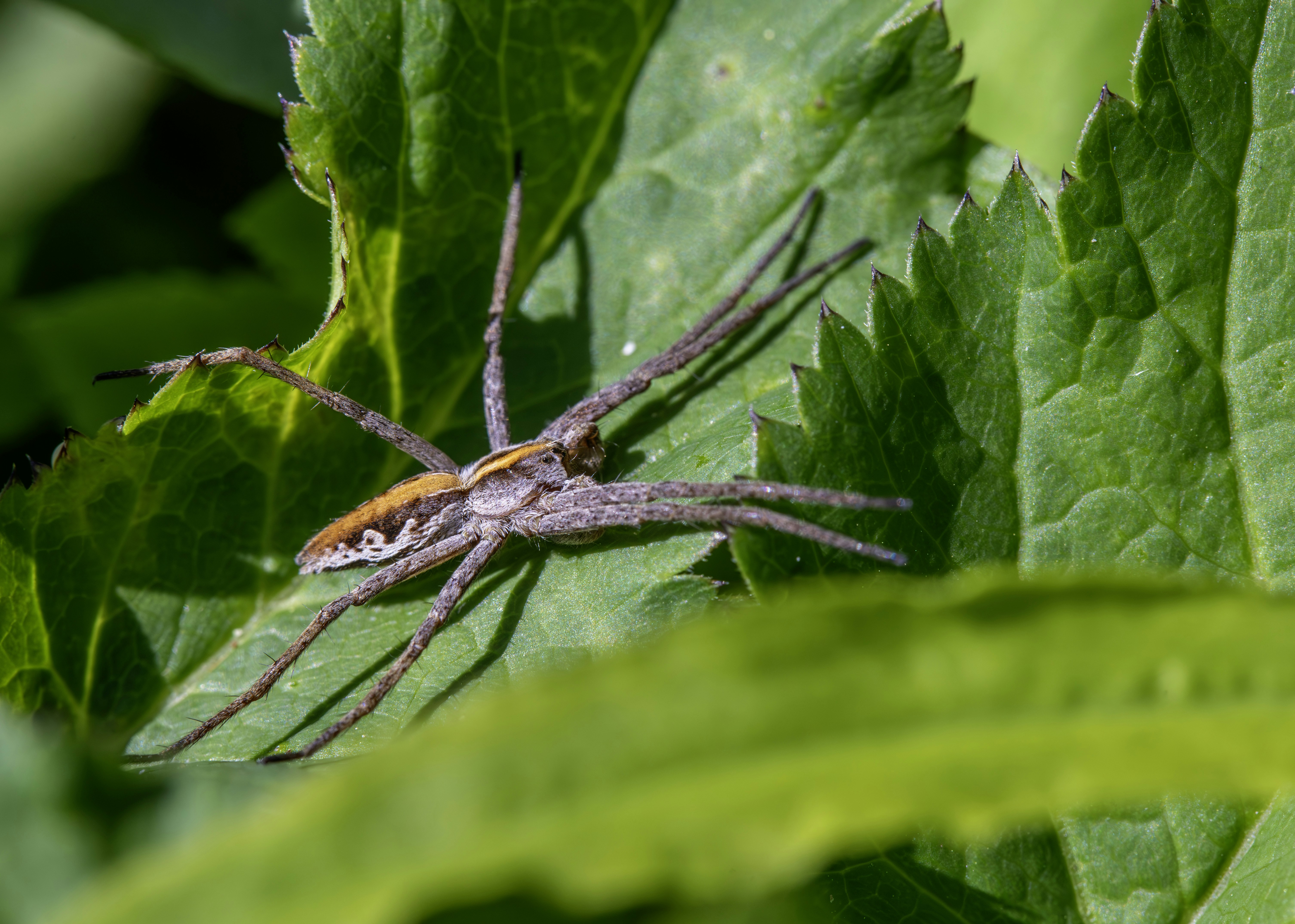 Photo by erik_karits