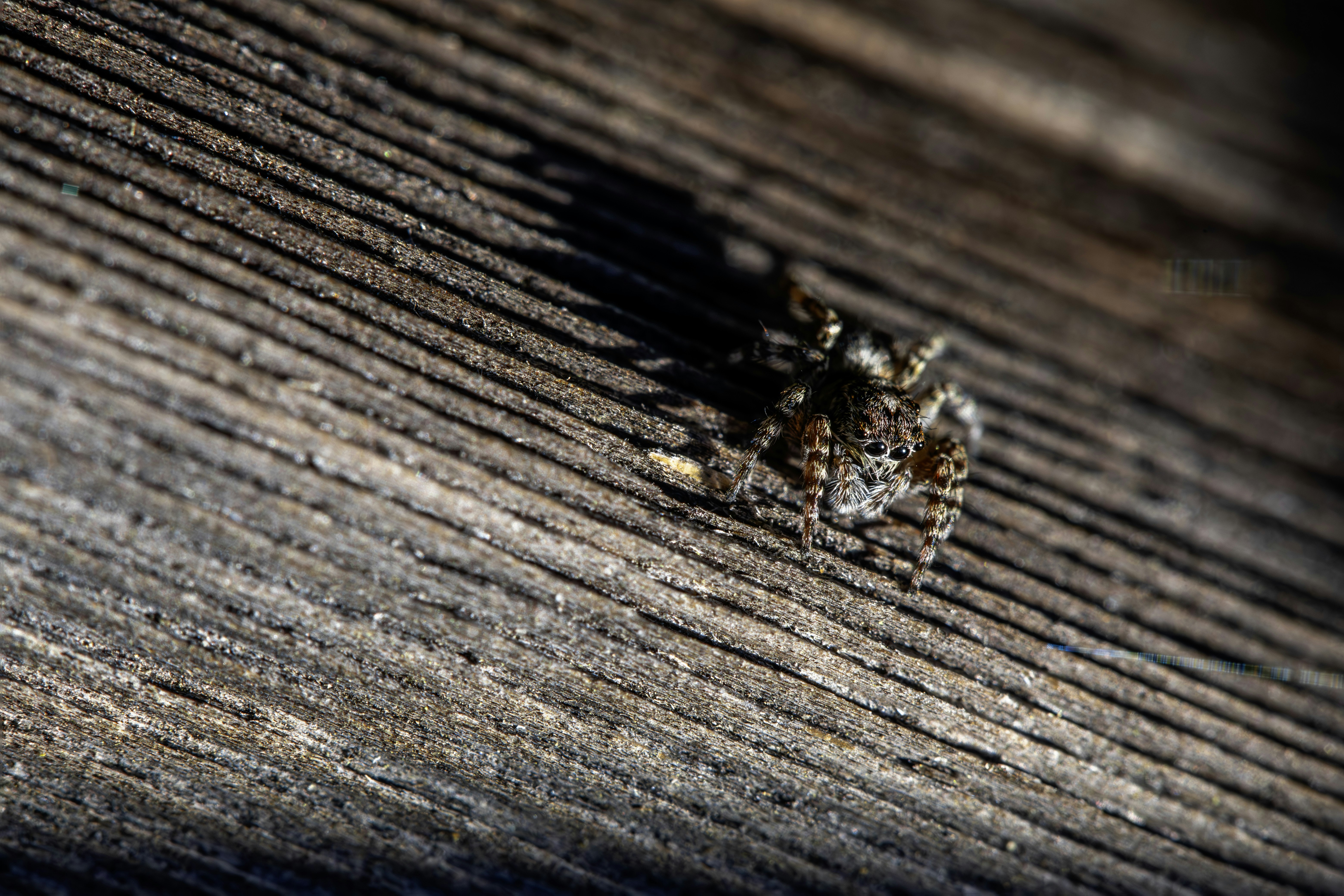 Photo by erik_karits