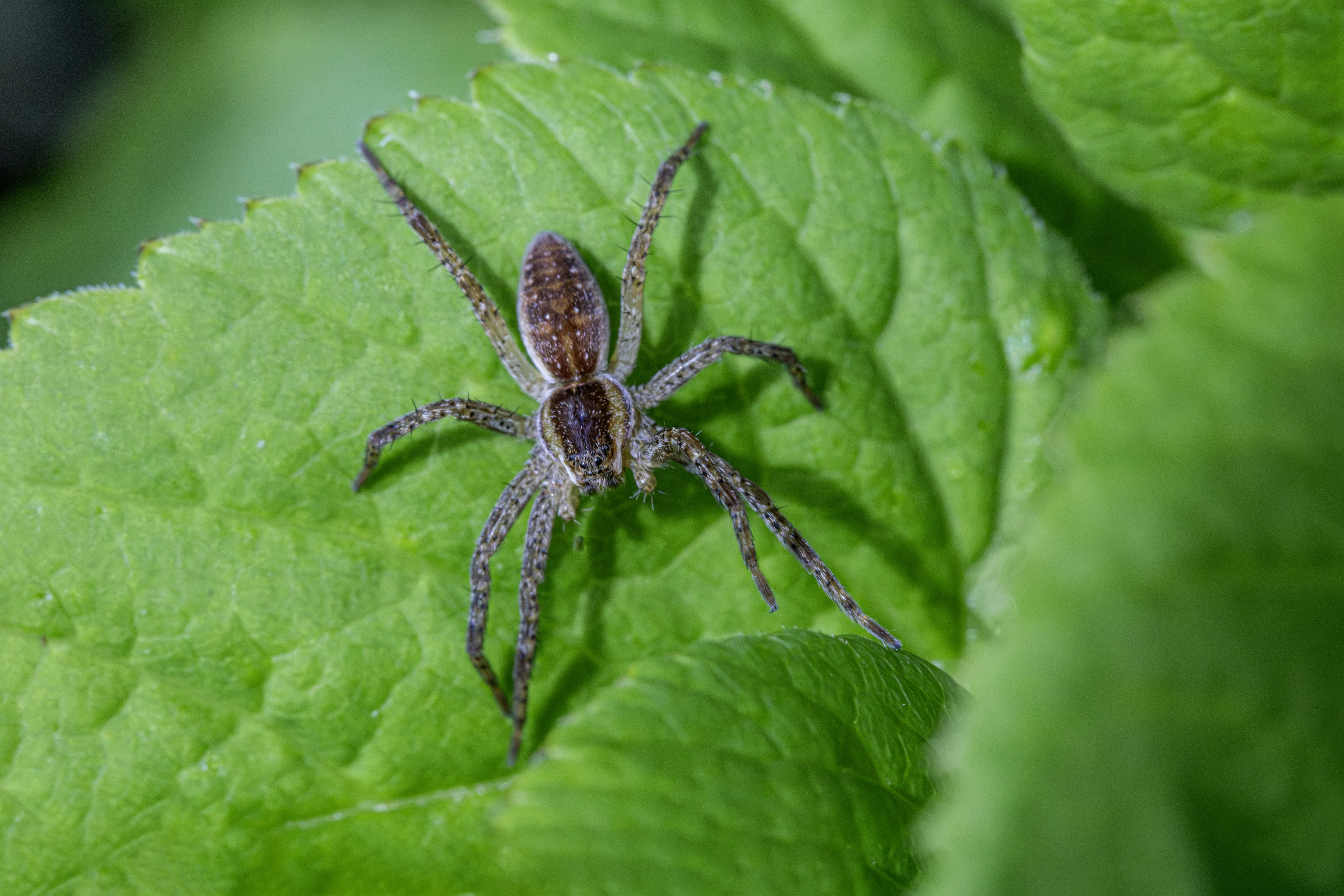 Photo by erik_karits