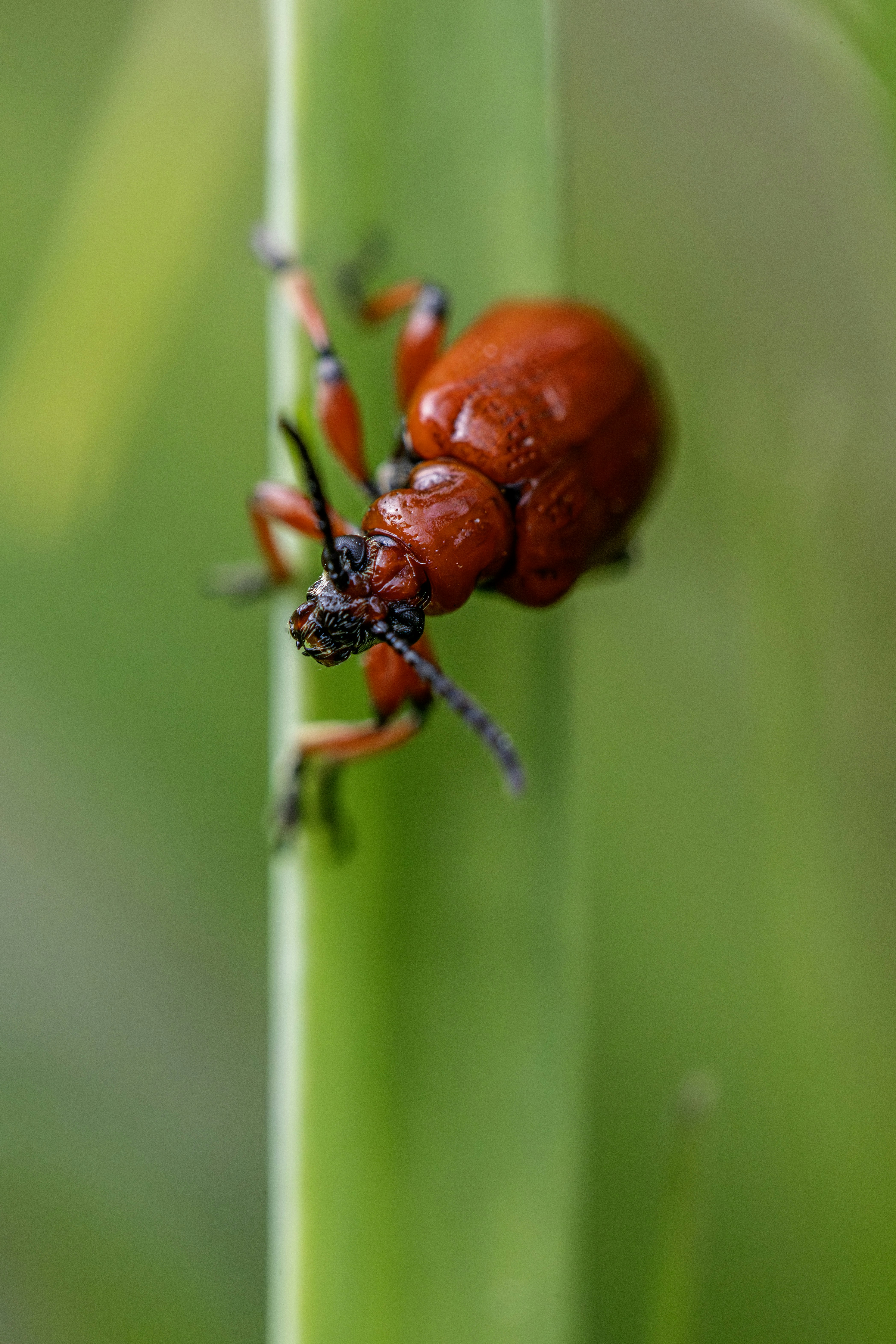 Photo by erik_karits