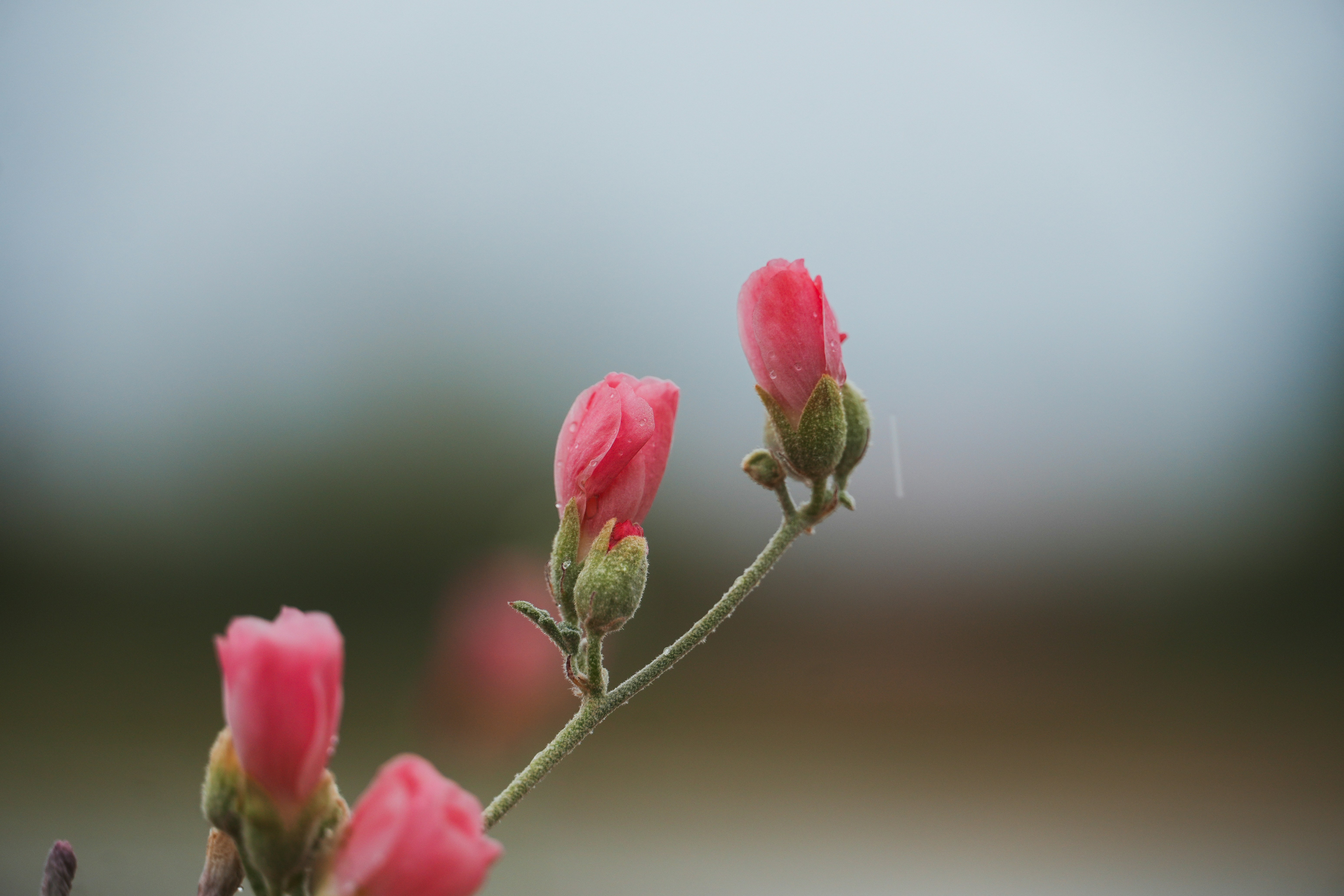 Photo by jcnonstop87