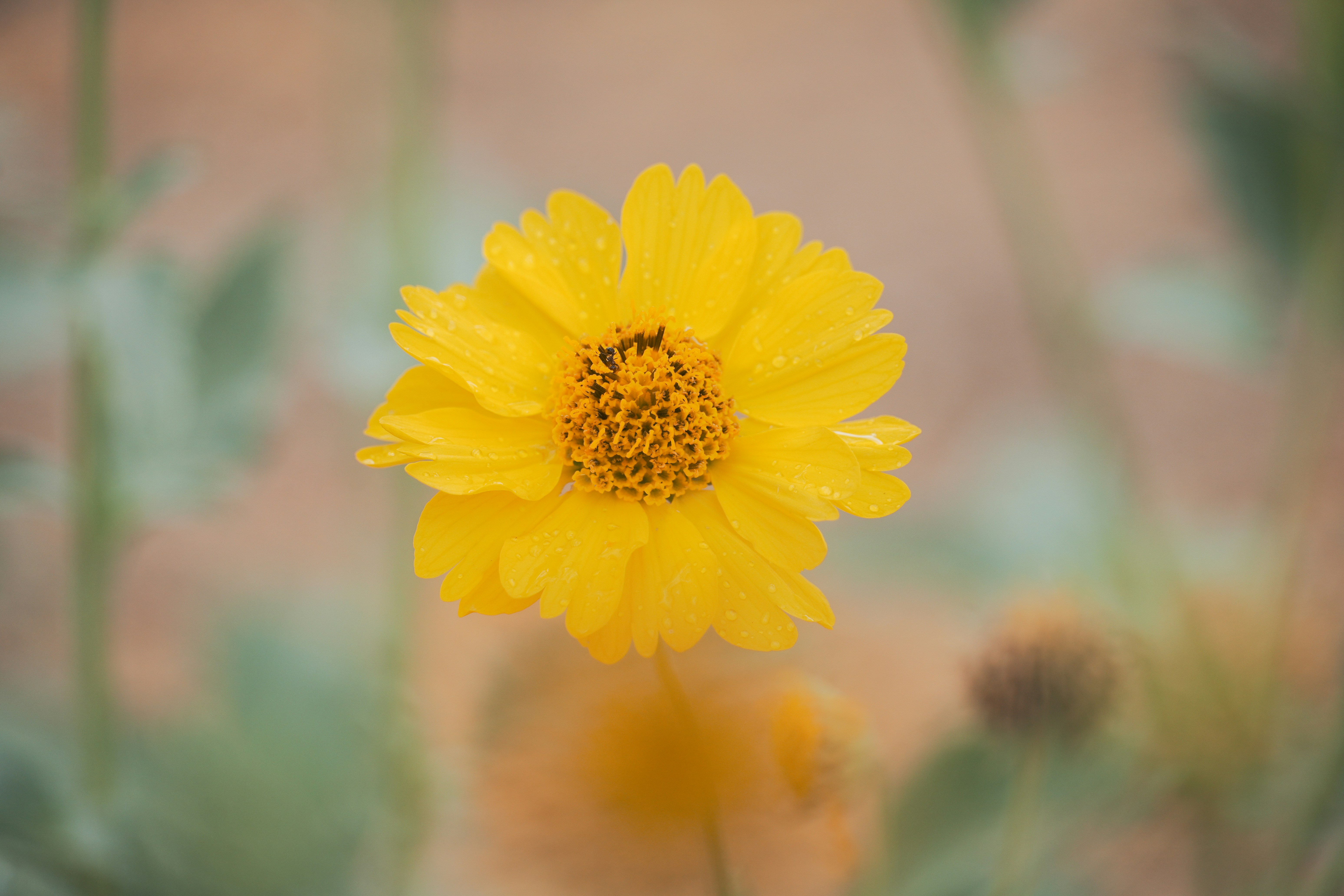 Photo by jcnonstop87