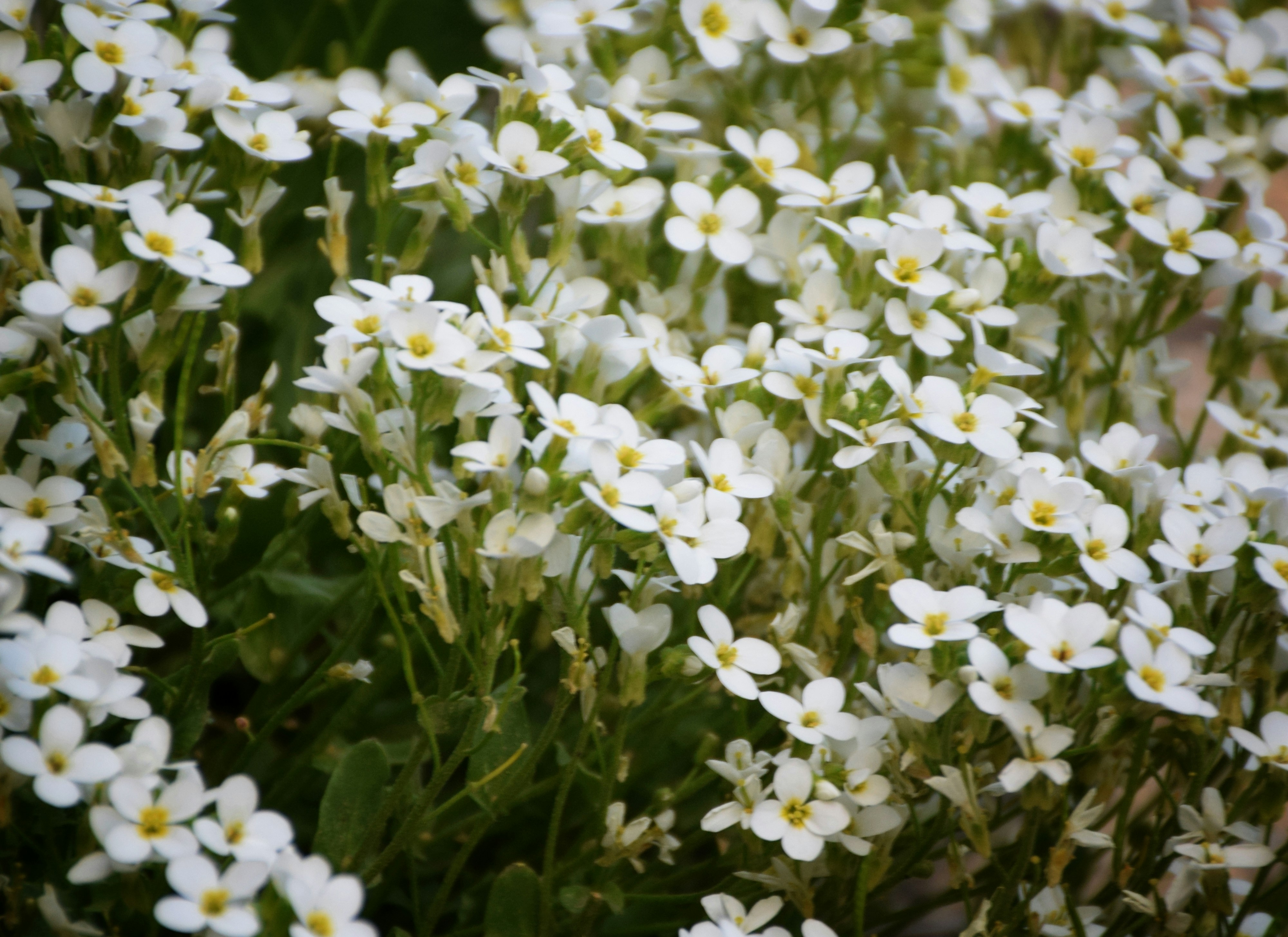 Photo by aliaghaee4789