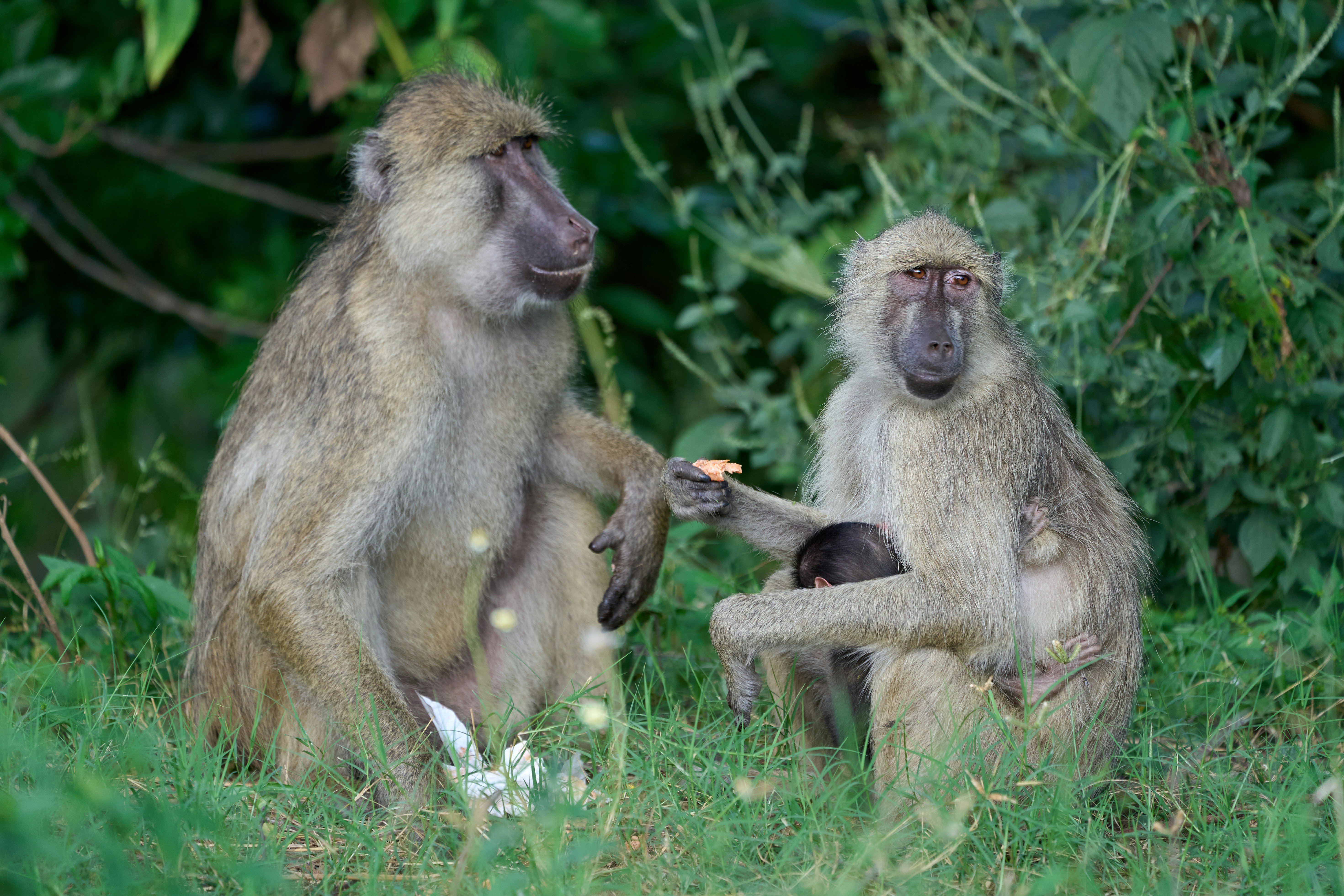 Photo by dmitrii_zhodzishskii