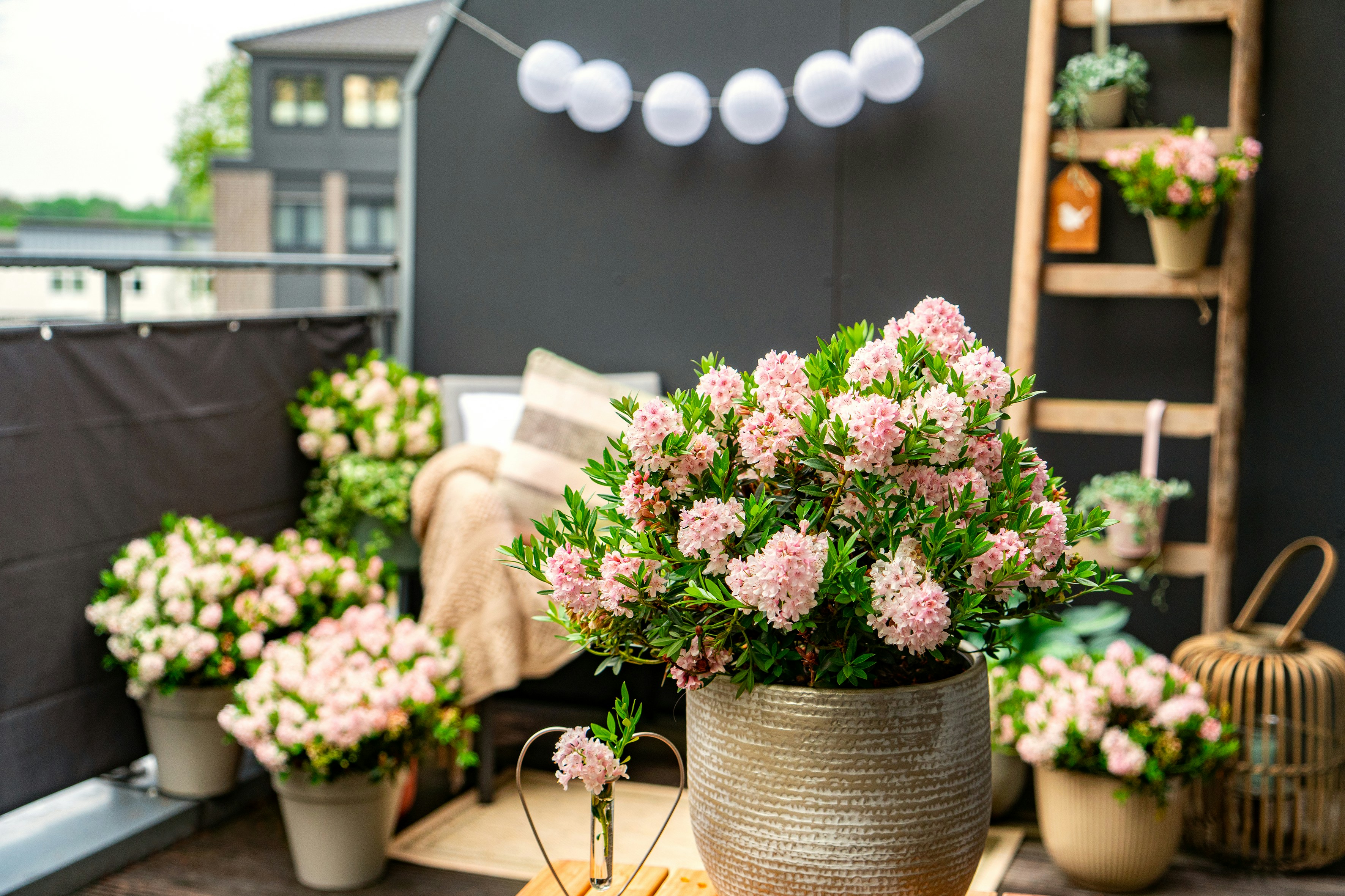 balcony neutral decor, wallpaper, Transitional Balcony Color Schemes: Stylish Outdoor Spaces 2