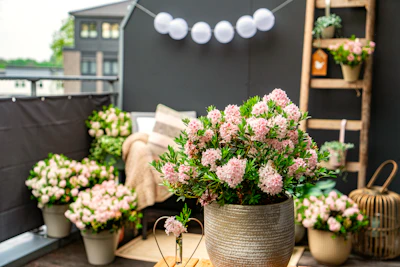 Balcony Gardening for Beginners in India — Complete Setup Guide