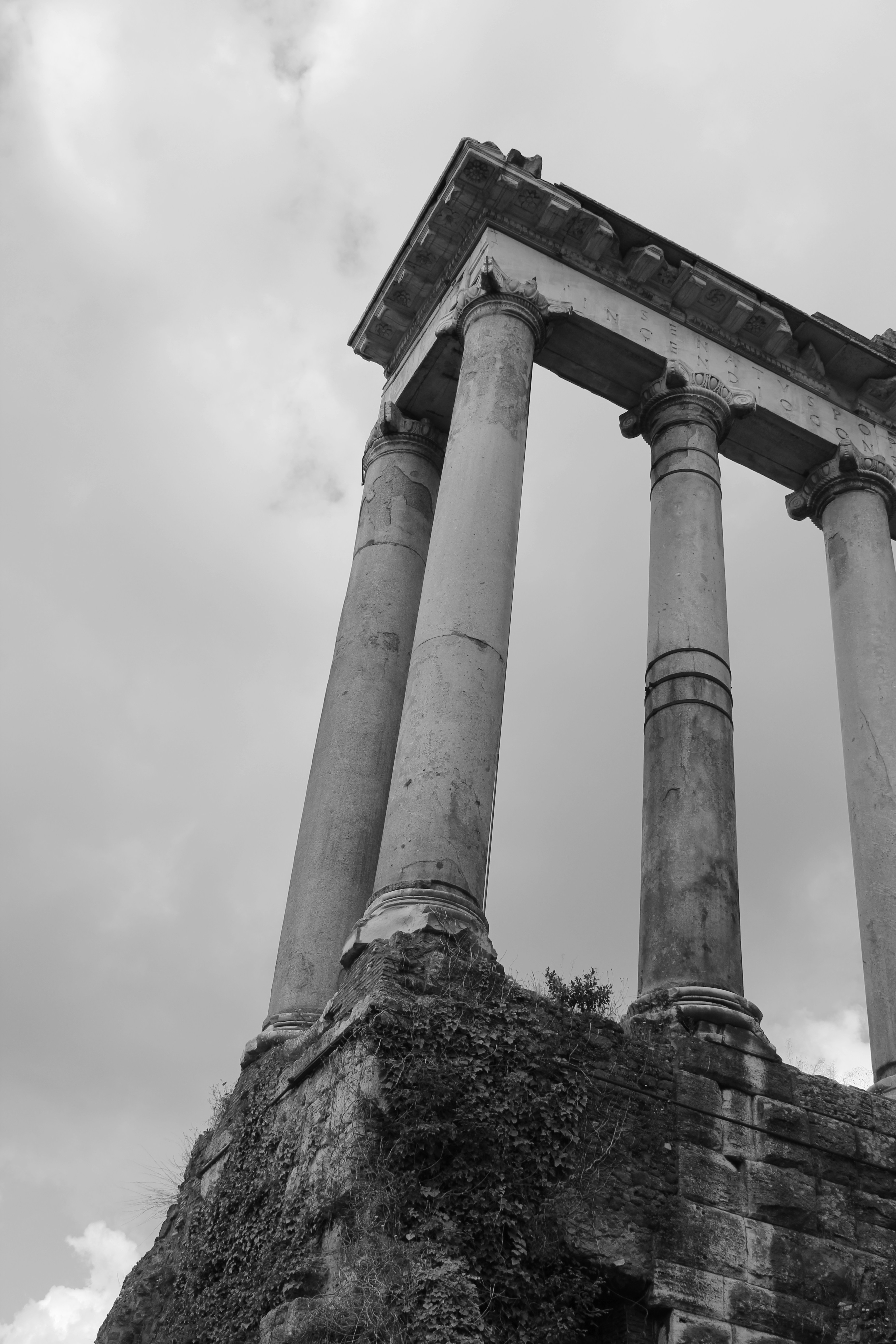 Photo by amirarsalan93