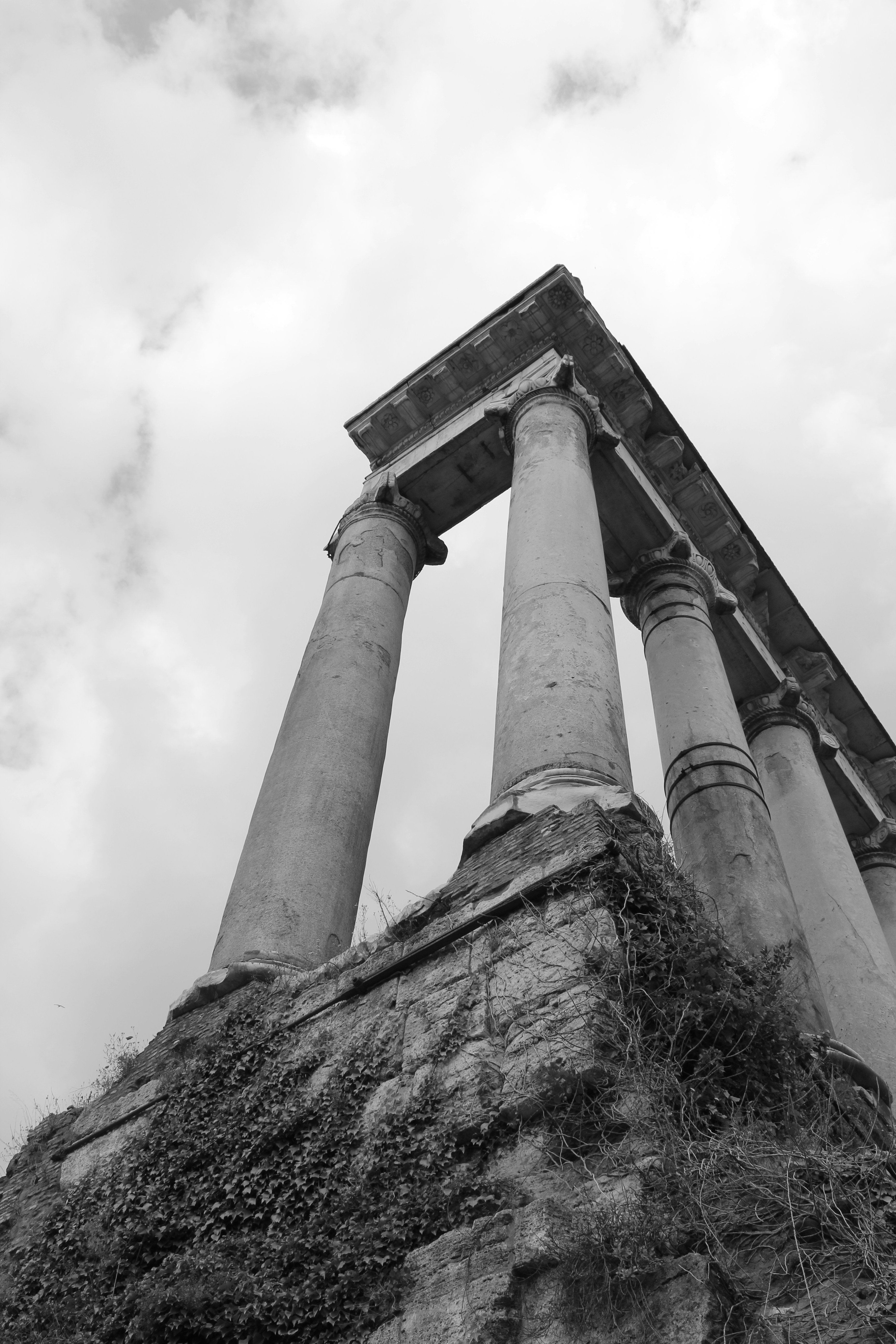 Photo by amirarsalan93