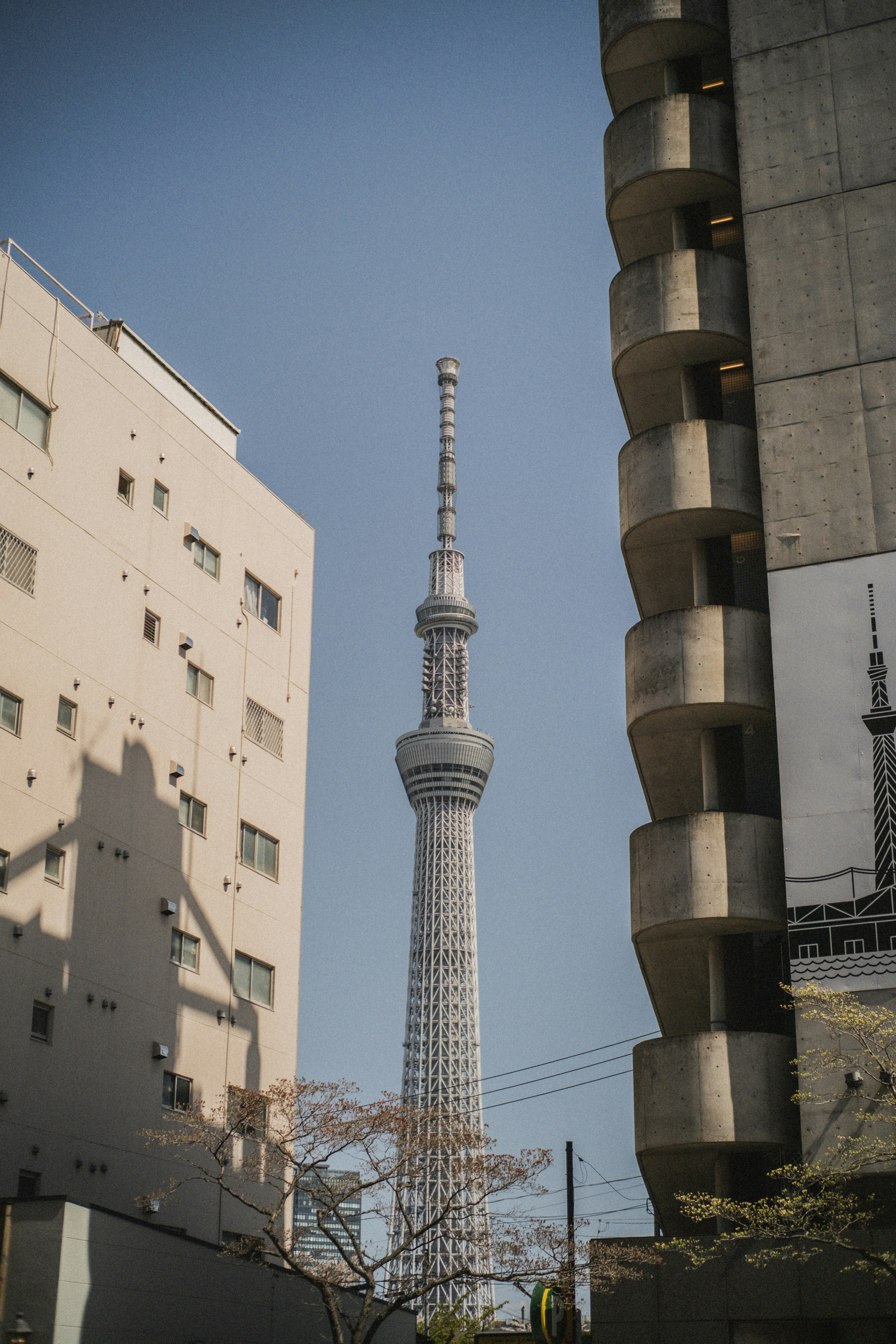도쿄 스카이트리는 건물 사이로 우뚝 솟아 있습니다.