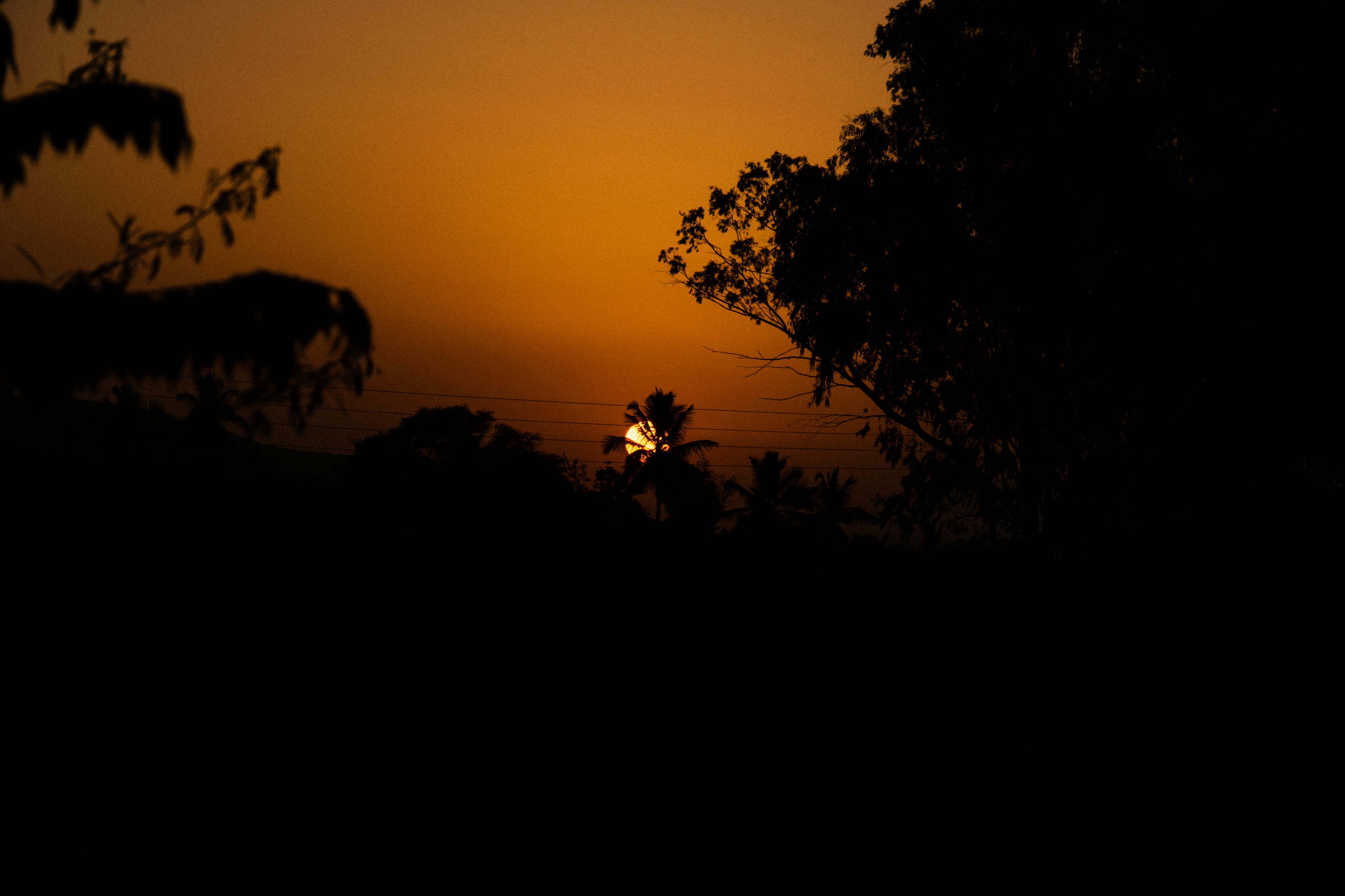 Photo by shubhudi