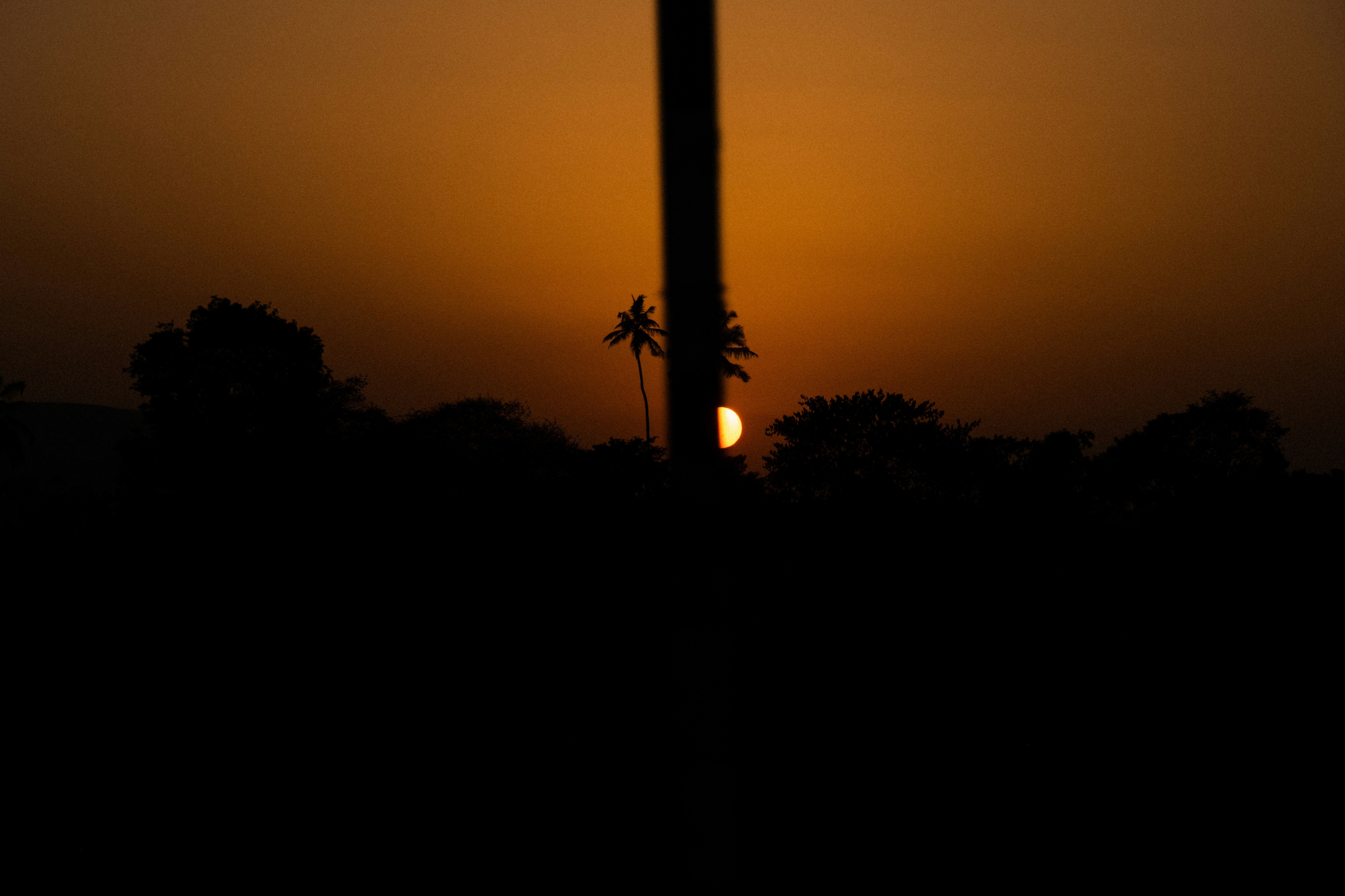 Photo by shubhudi