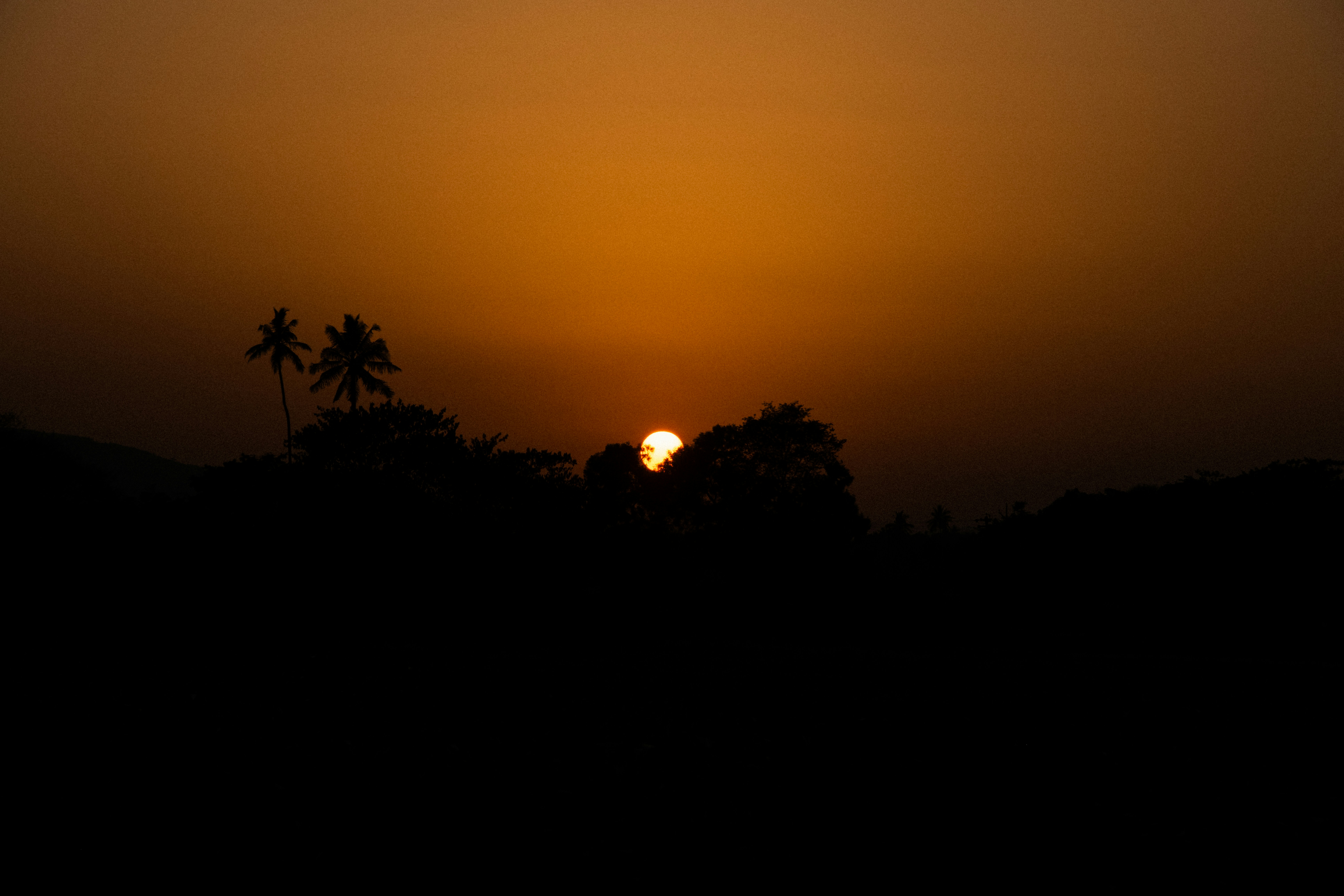 Photo by shubhudi