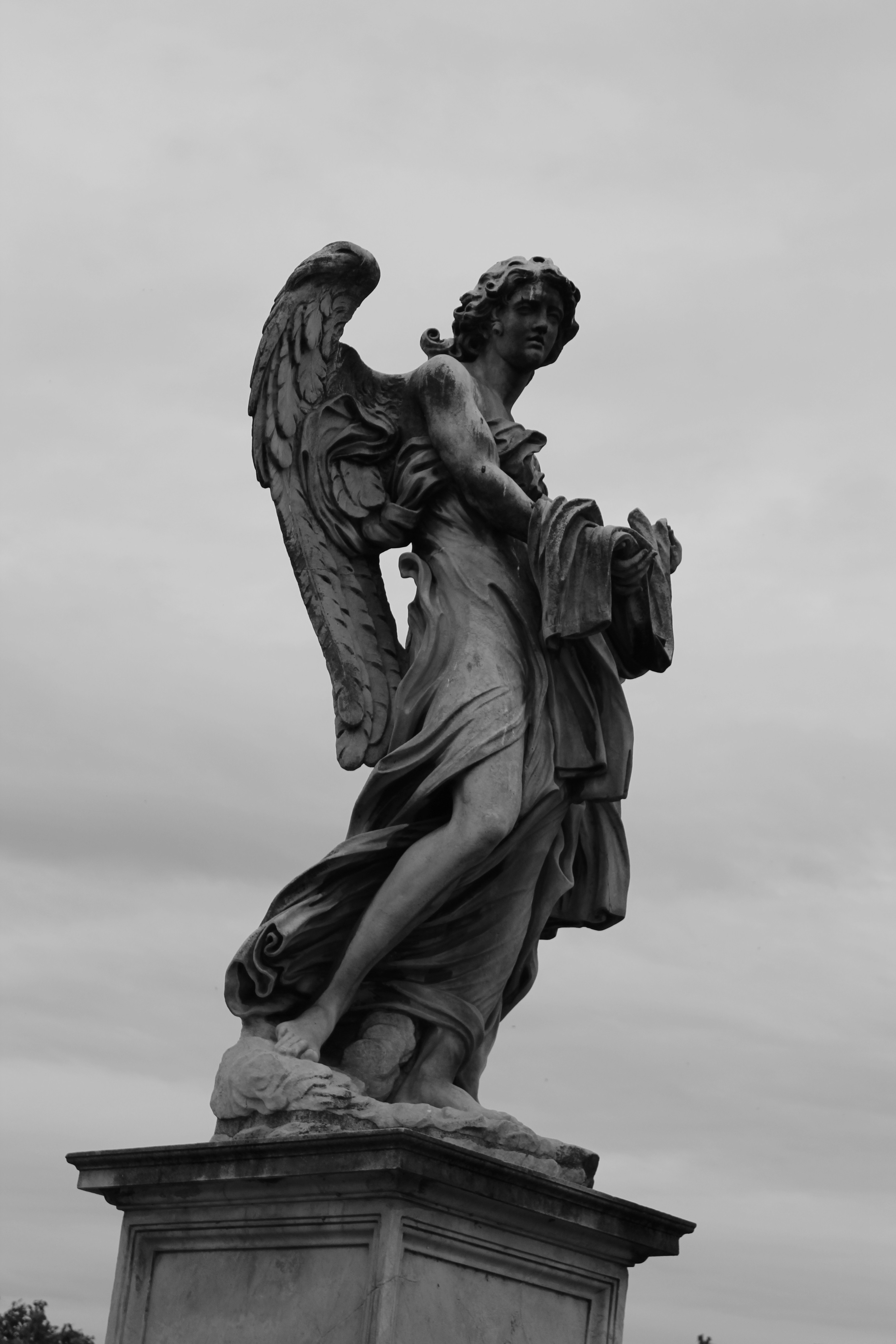 Photo by amirarsalan93