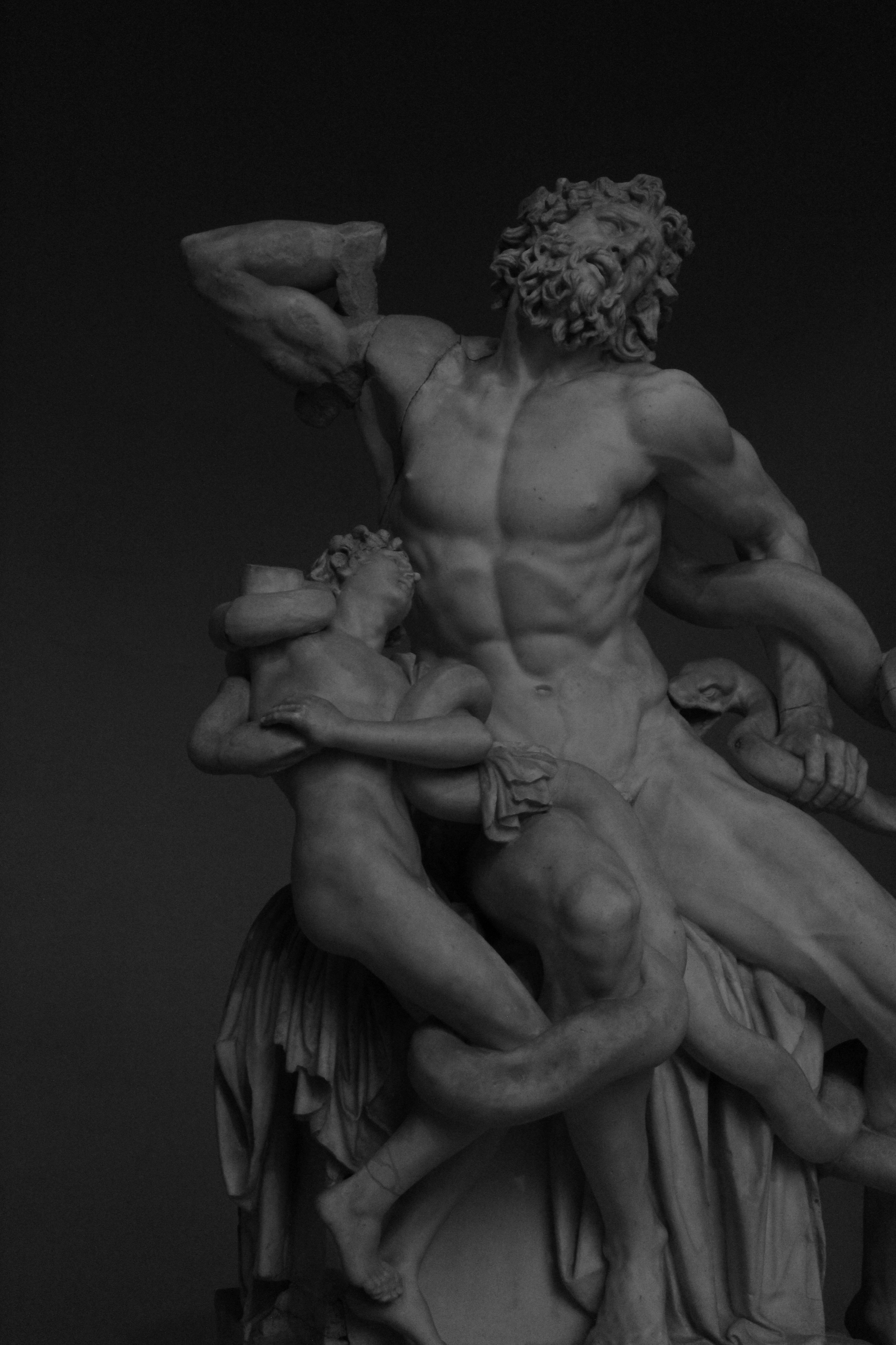 Photo by amirarsalan93