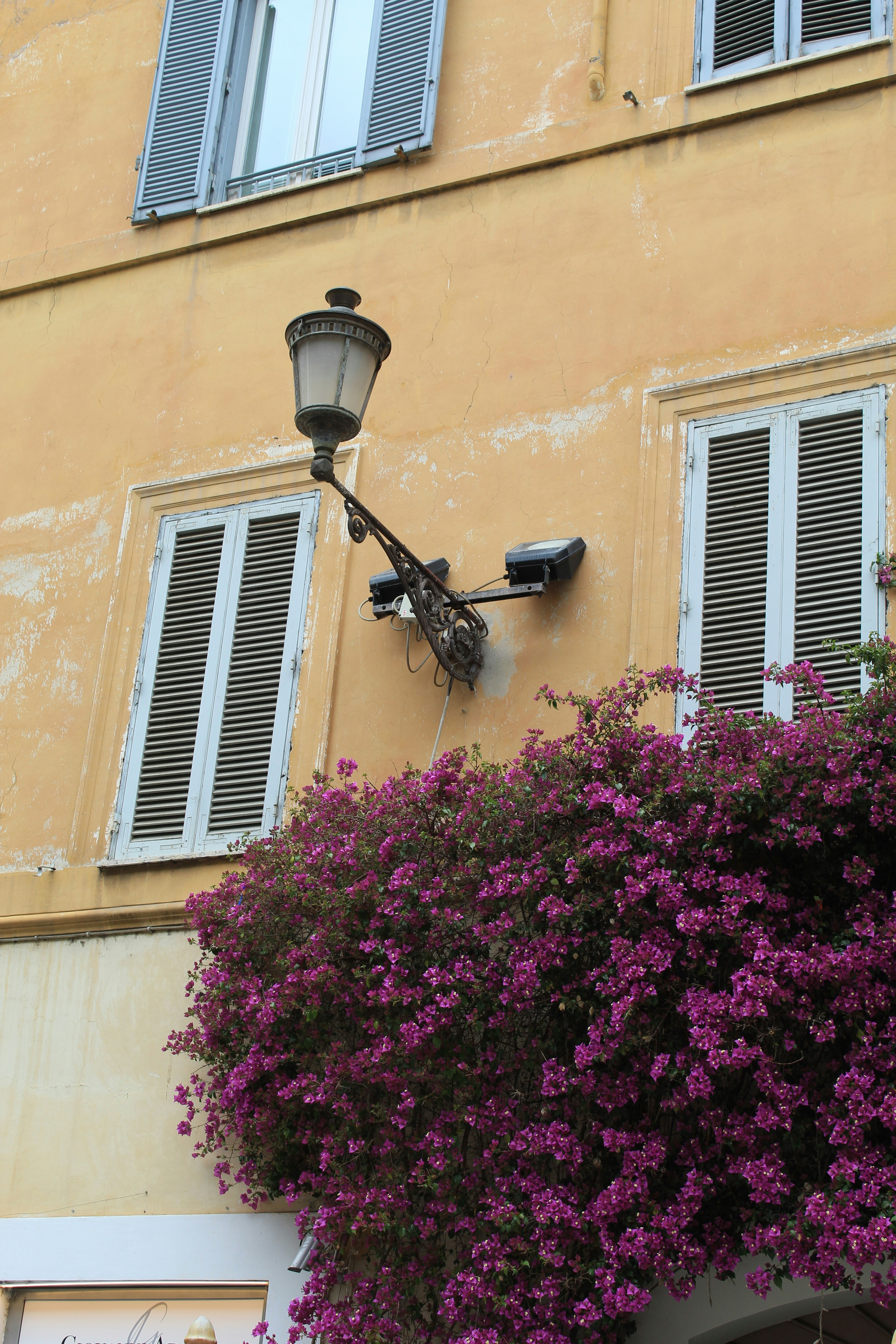 Photo by amirarsalan93