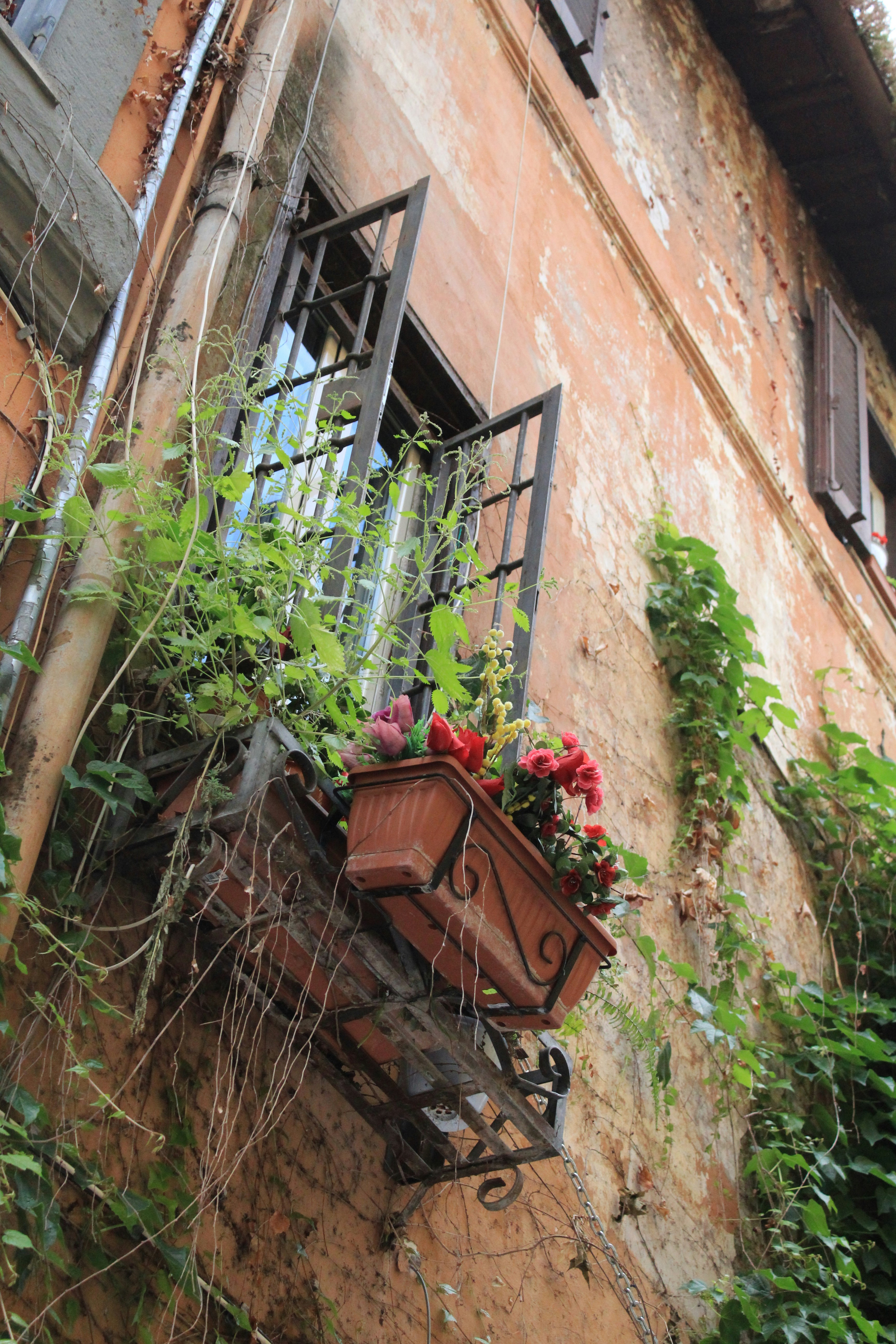 Photo by amirarsalan93