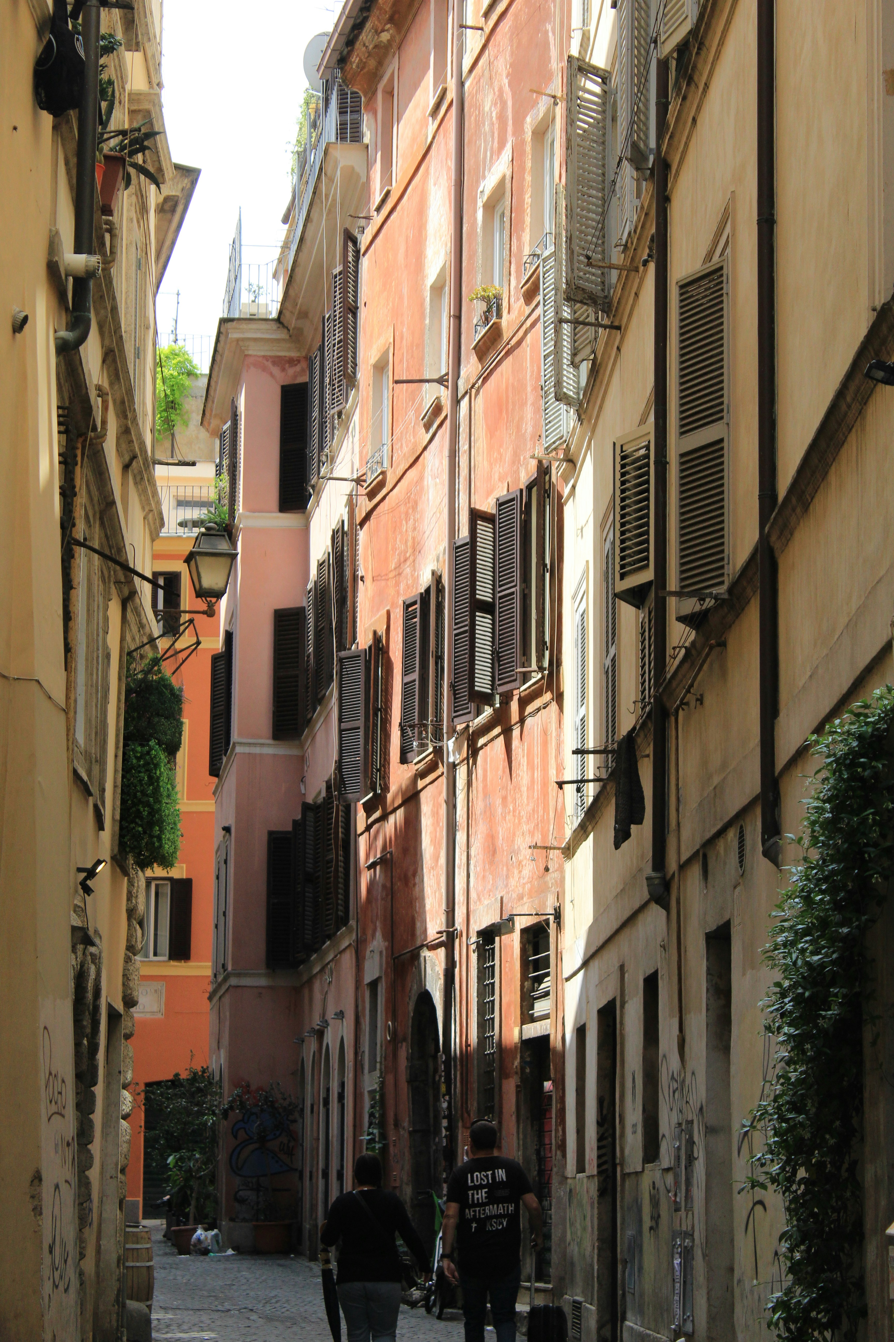 Photo by amirarsalan93