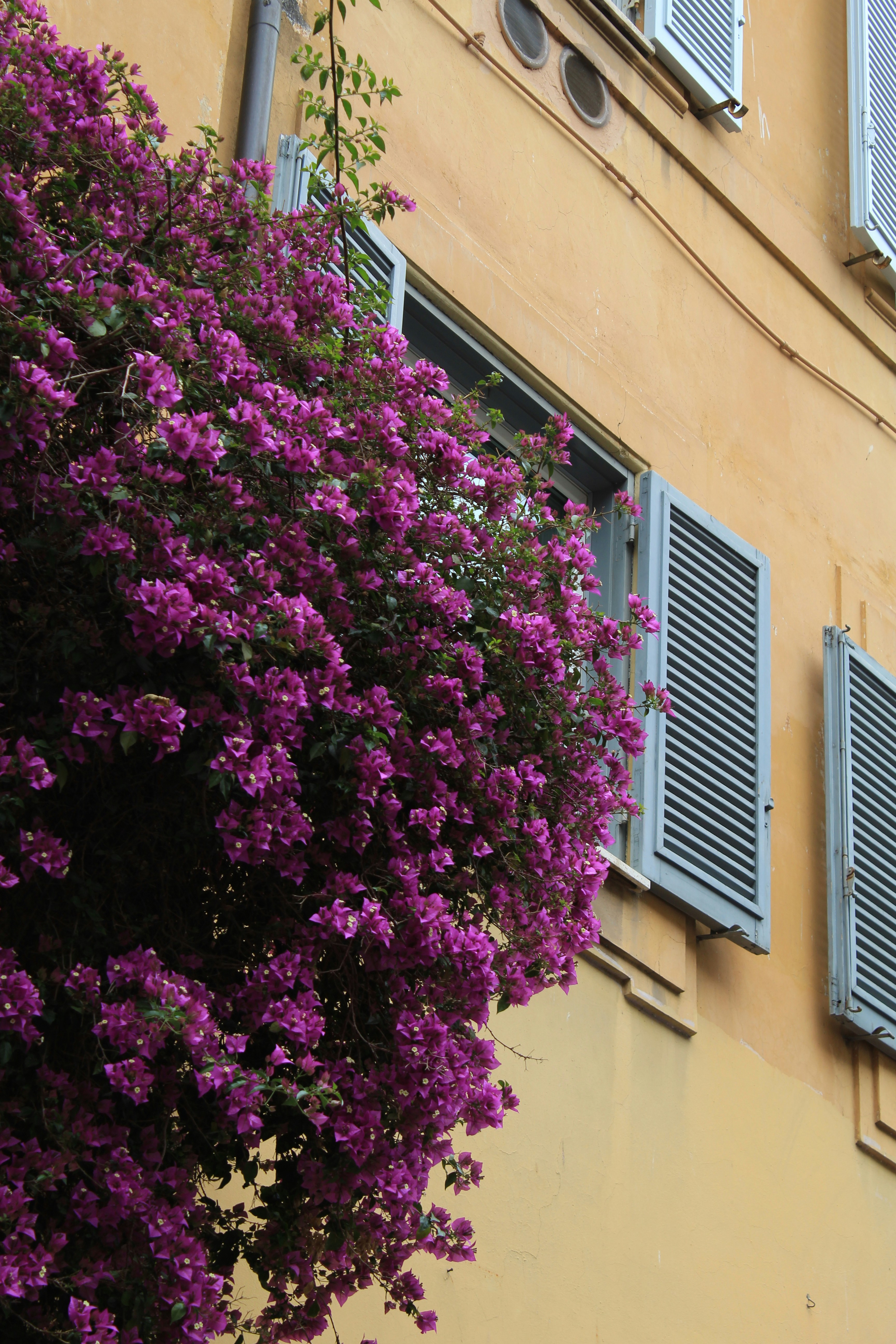 Photo by amirarsalan93