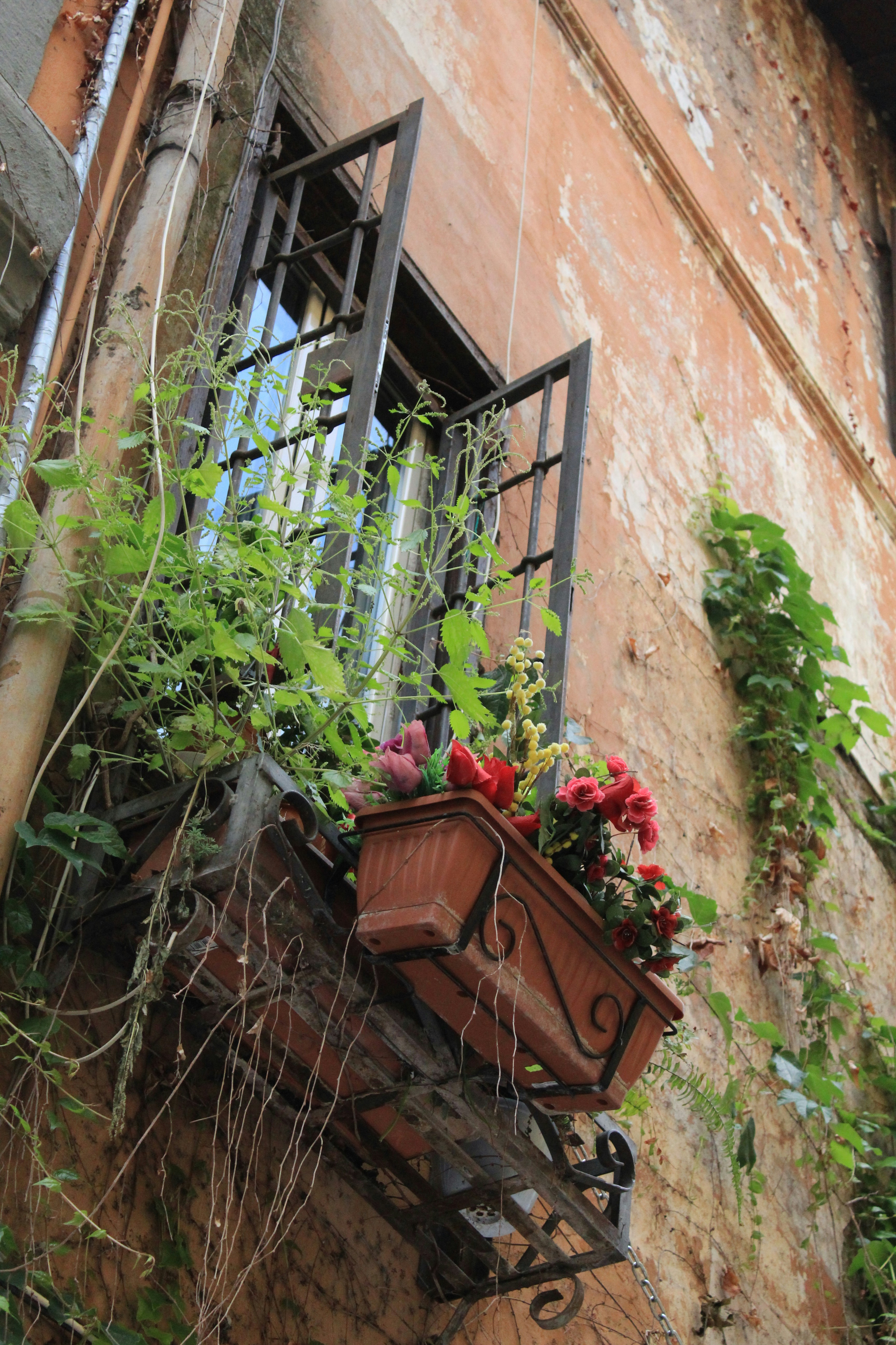 Photo by amirarsalan93