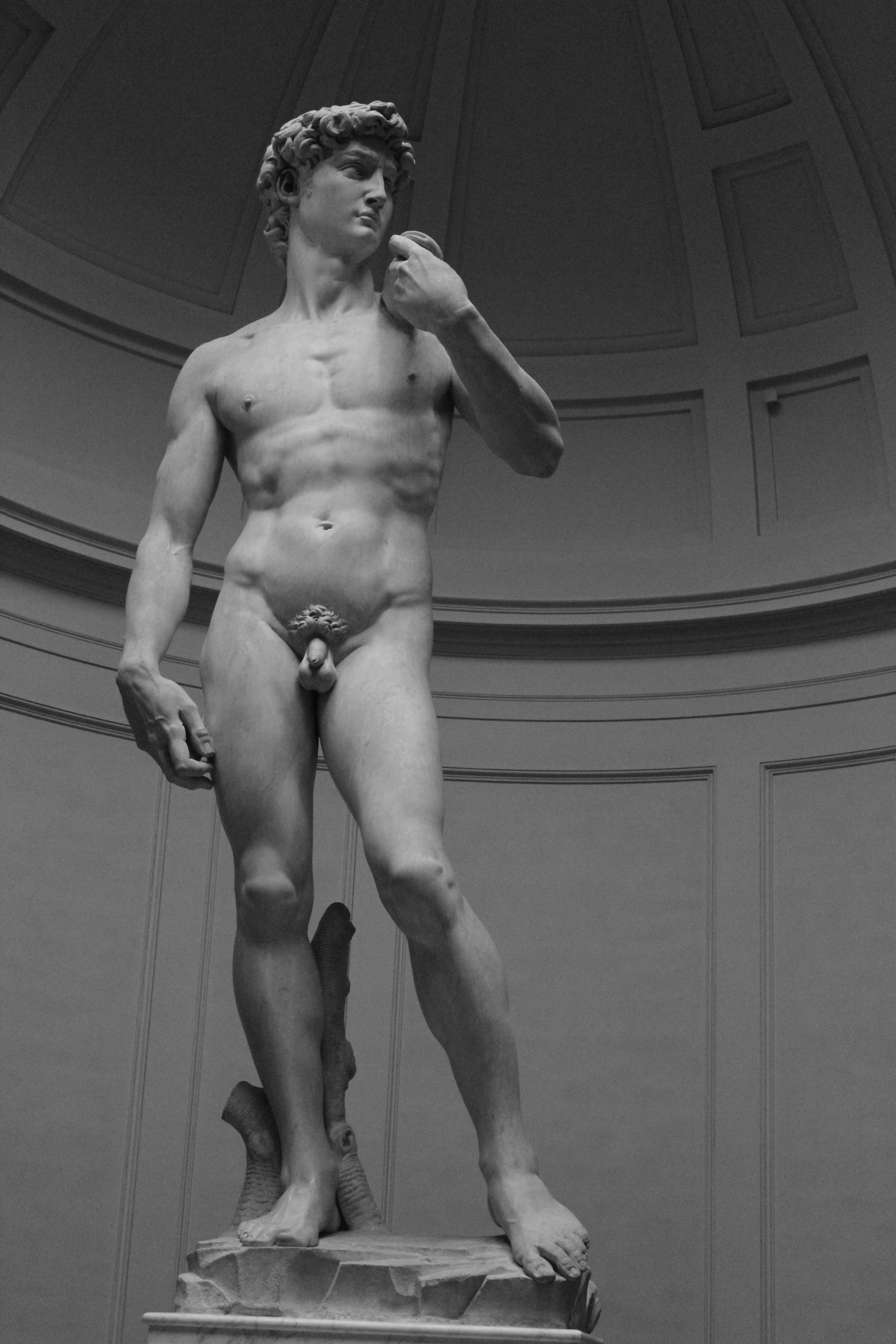 Photo by amirarsalan93