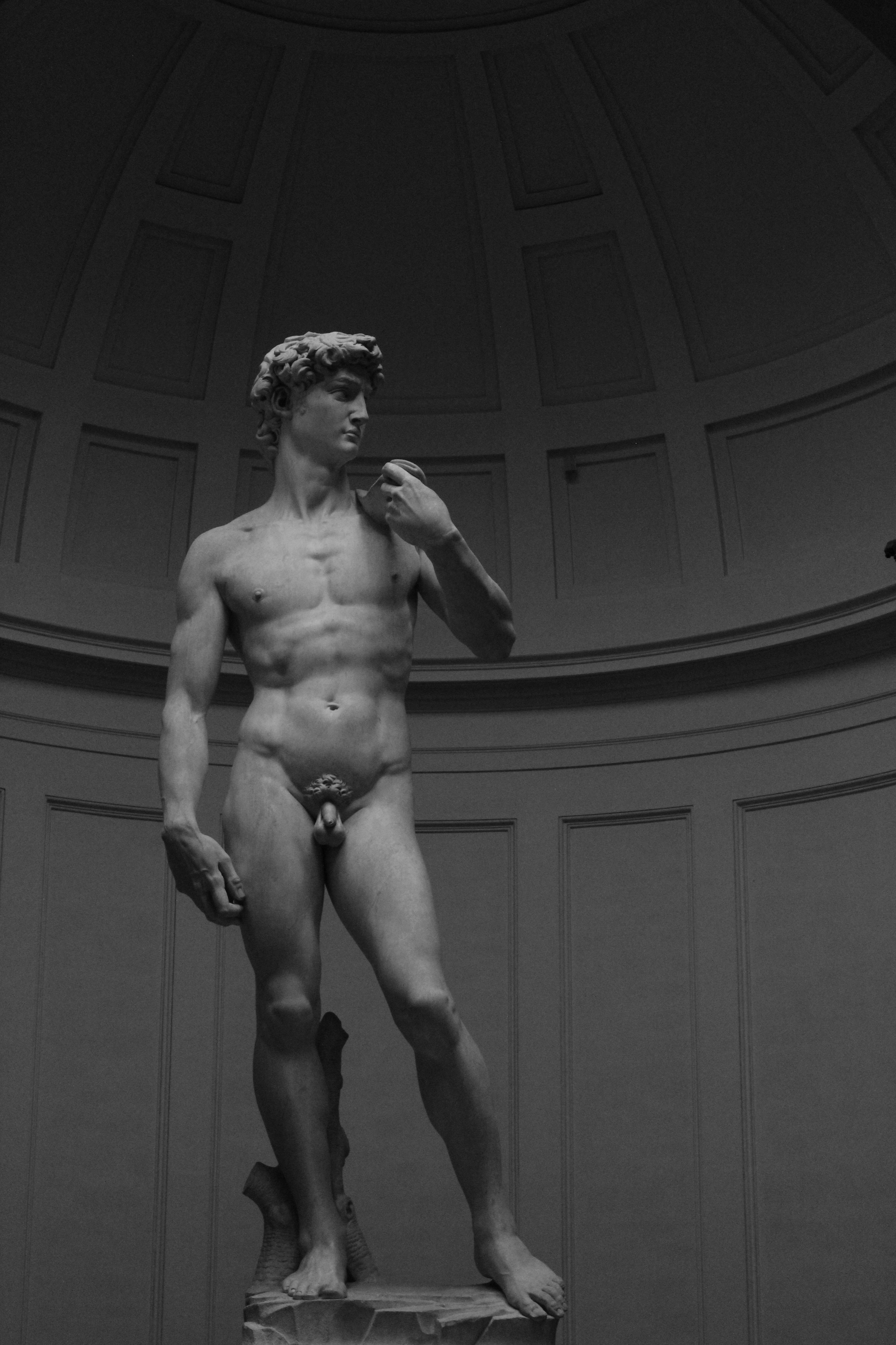 Photo by amirarsalan93