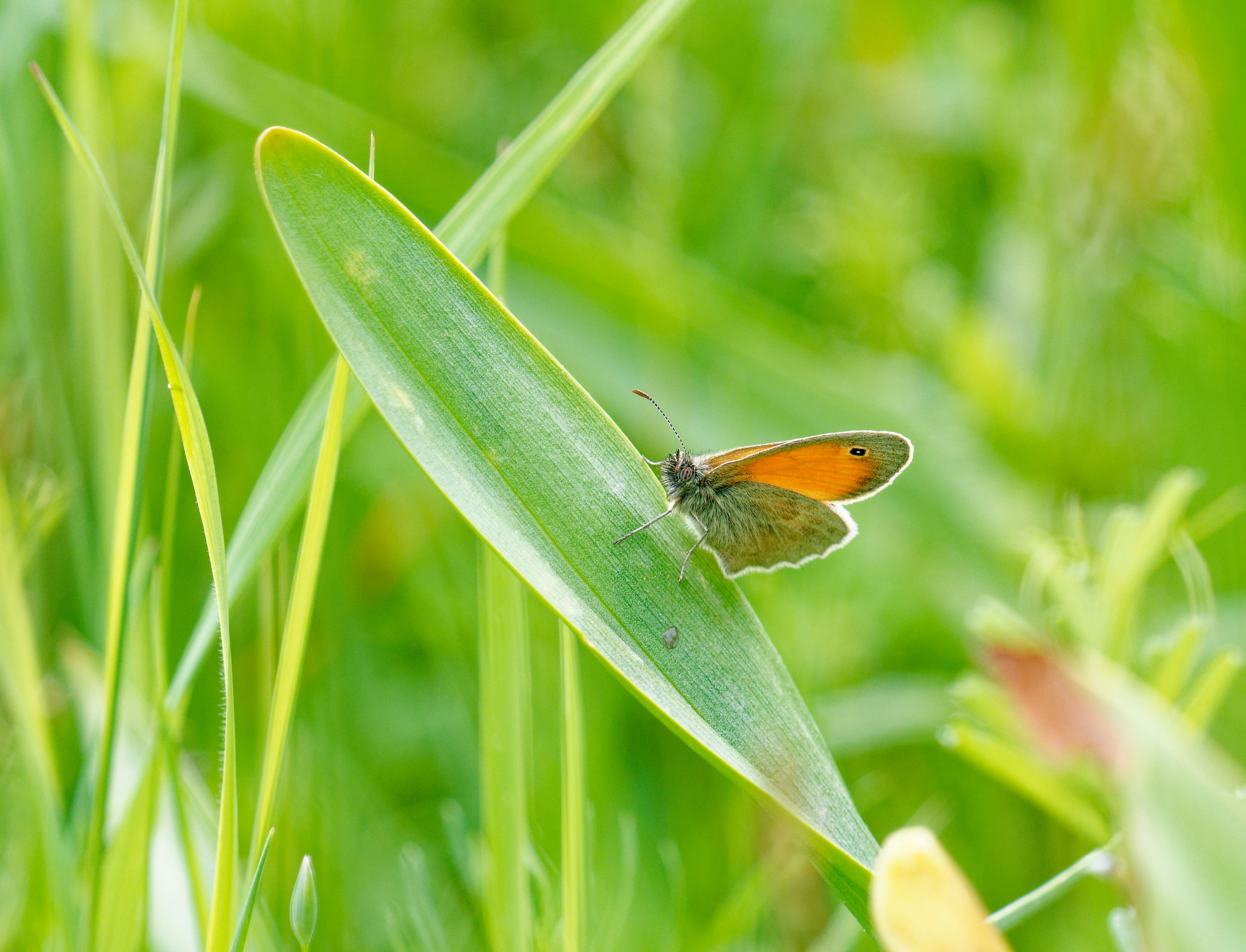 Photo by illes_cristi