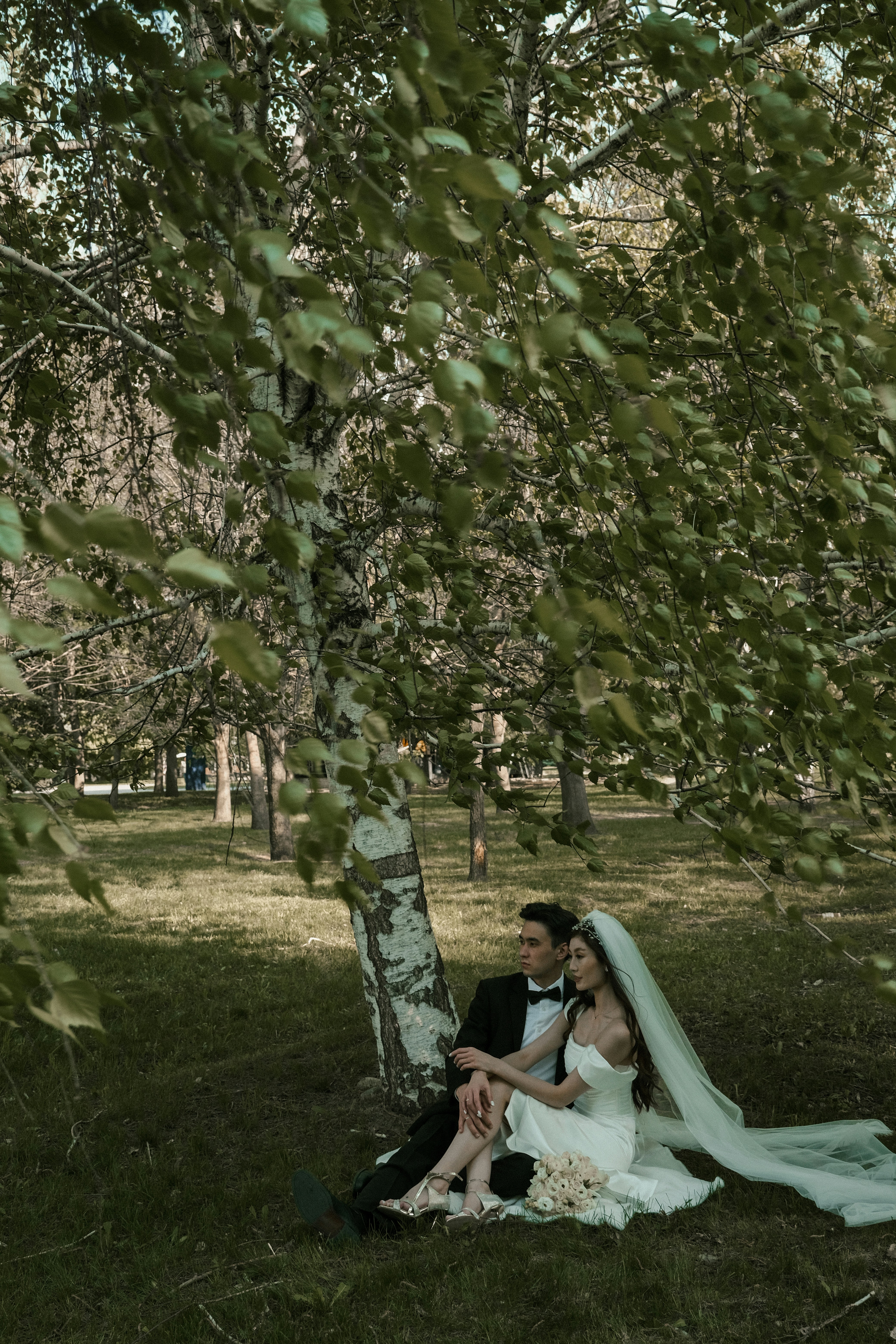 Ein frisch vermähltes Paar posiert unter einem Baum.