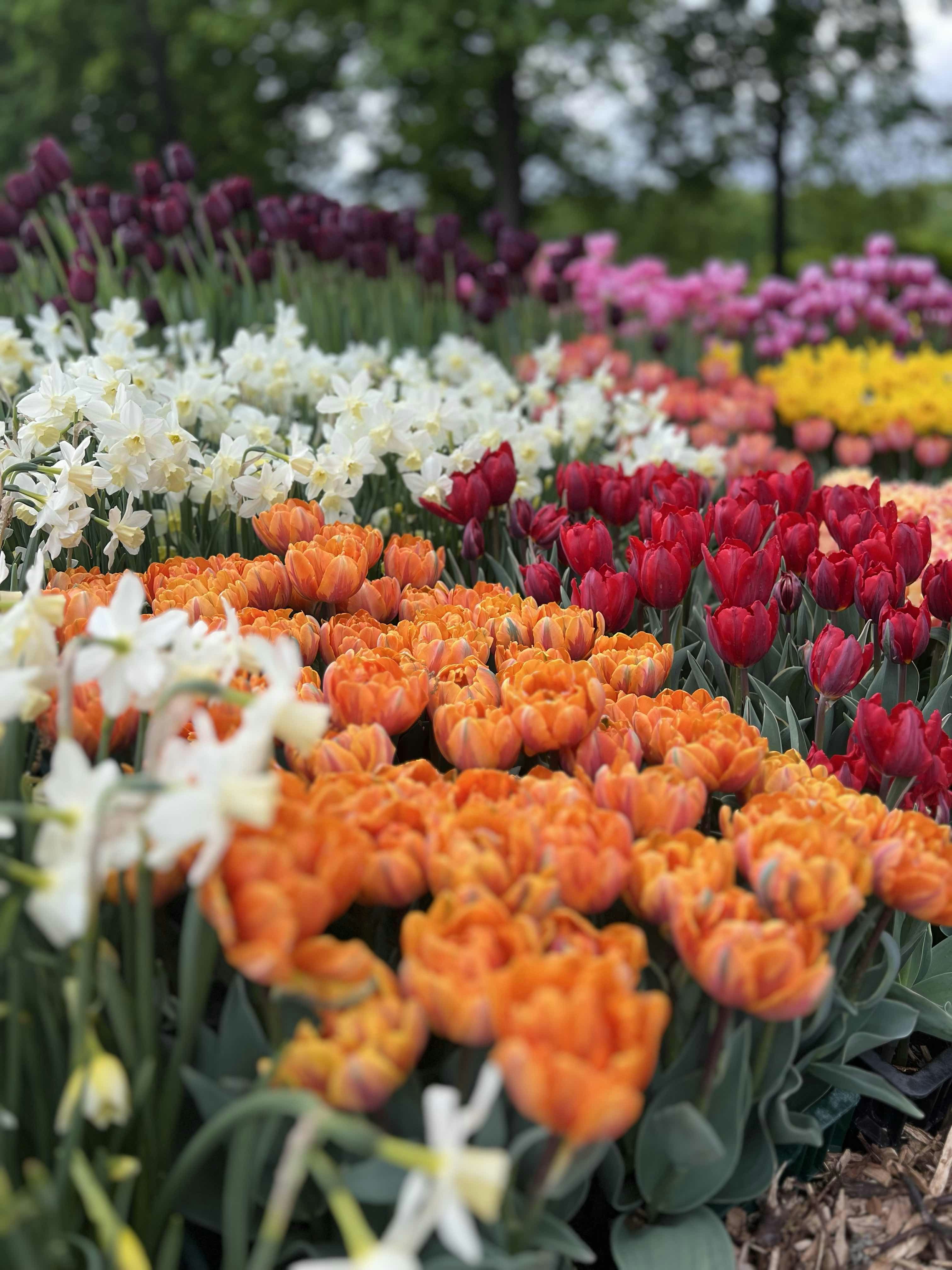 Photo by michaelarimakova