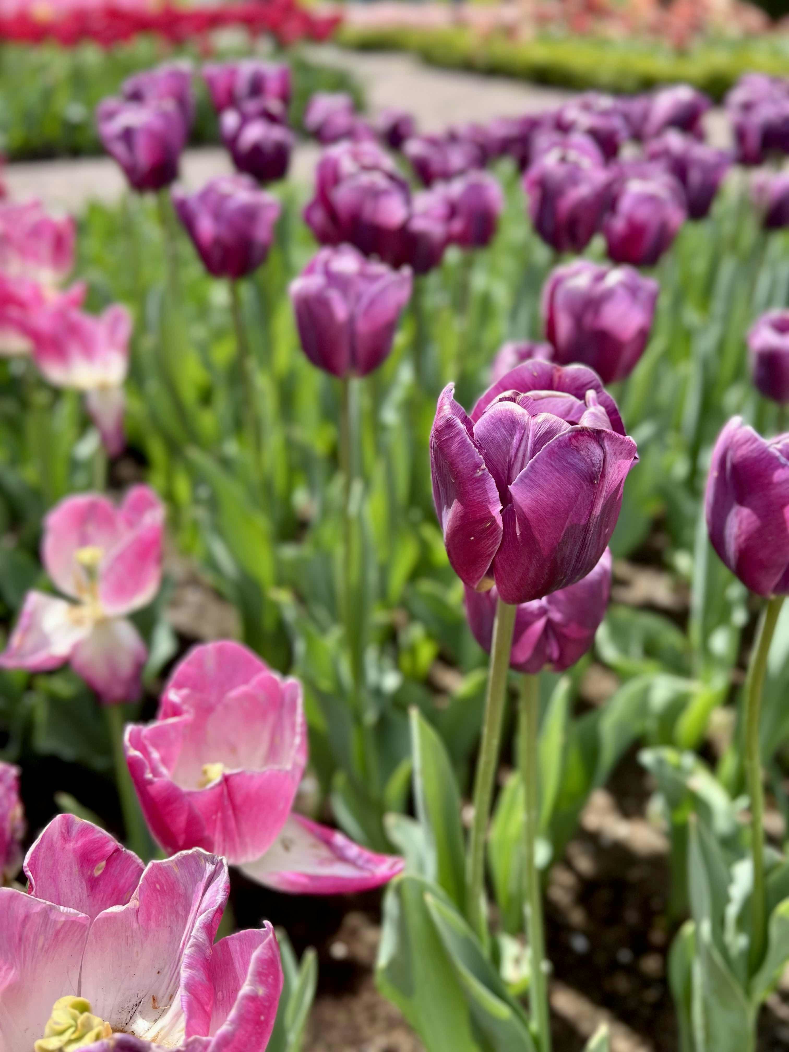 Photo by michaelarimakova